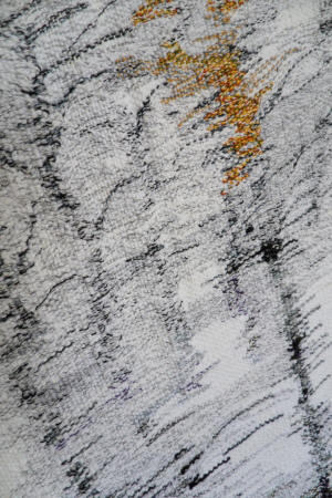 Study12