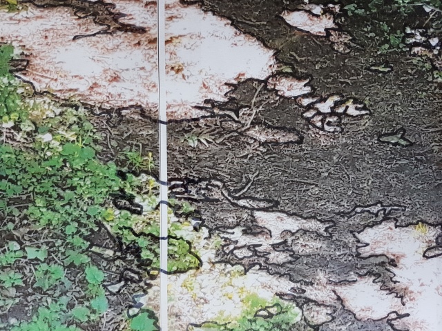 2020_2_1