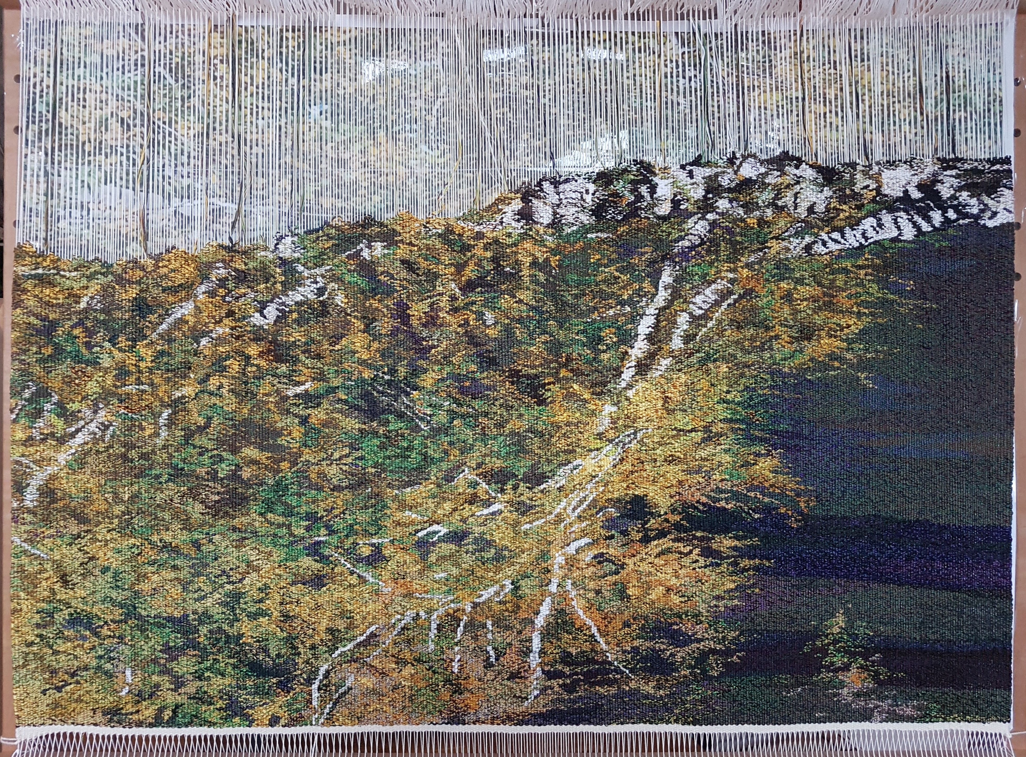 2024_2_89b