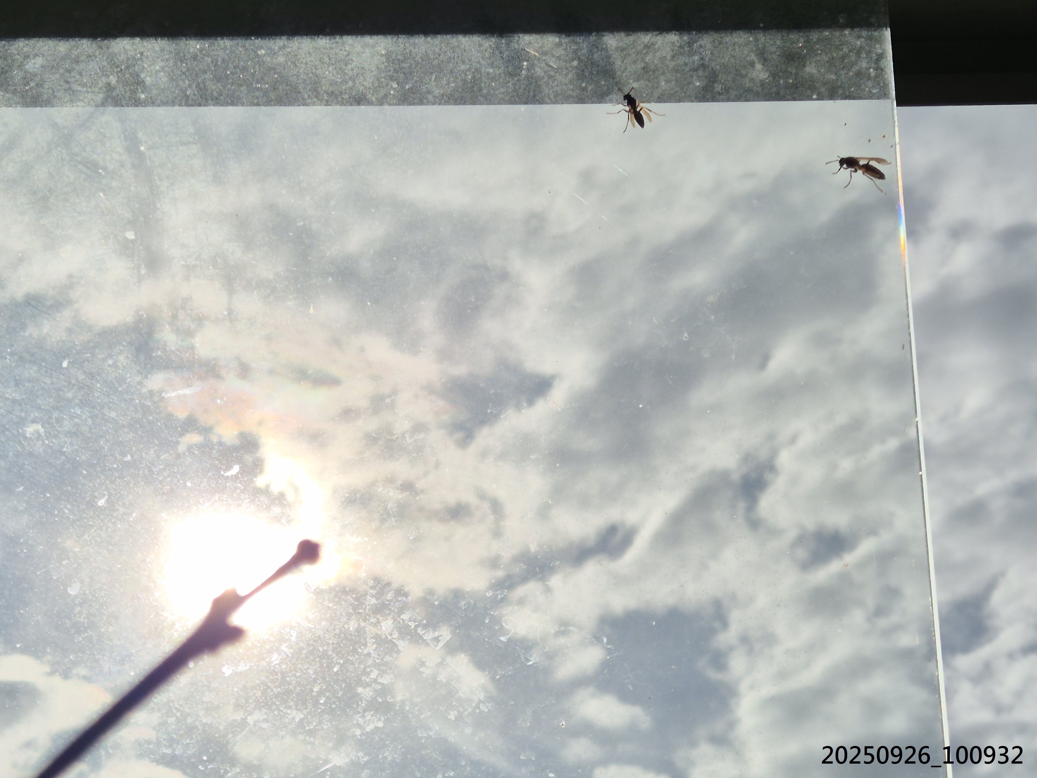 AP_2025_208