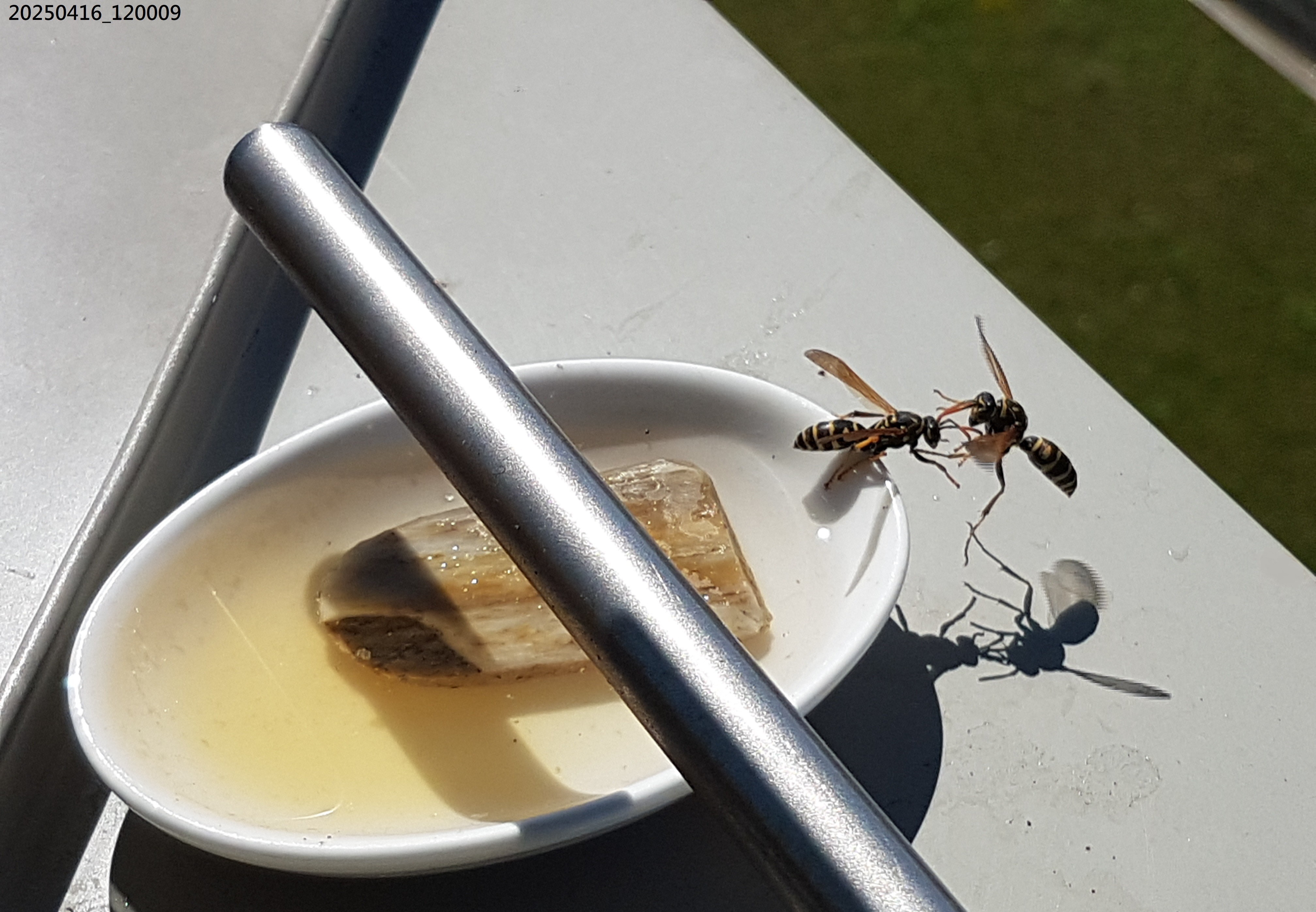 B2025_4_12