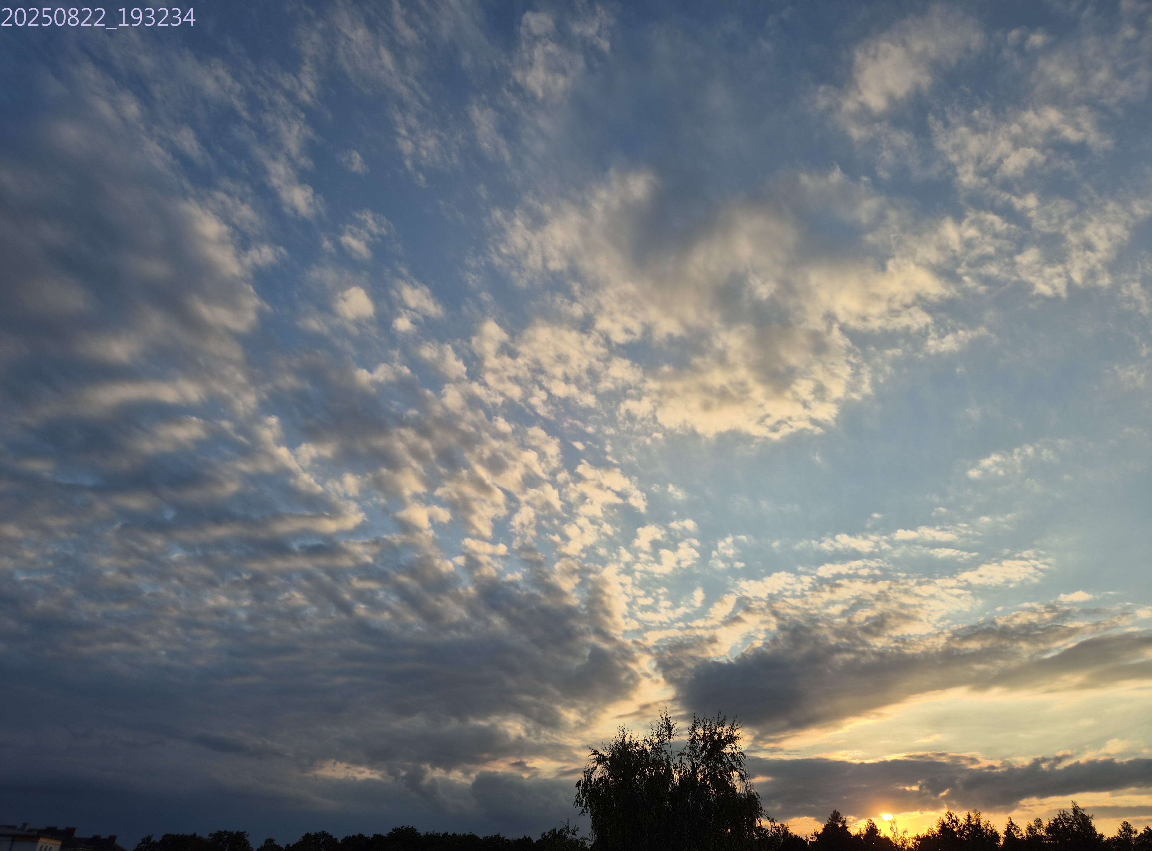 B2025_8_24
