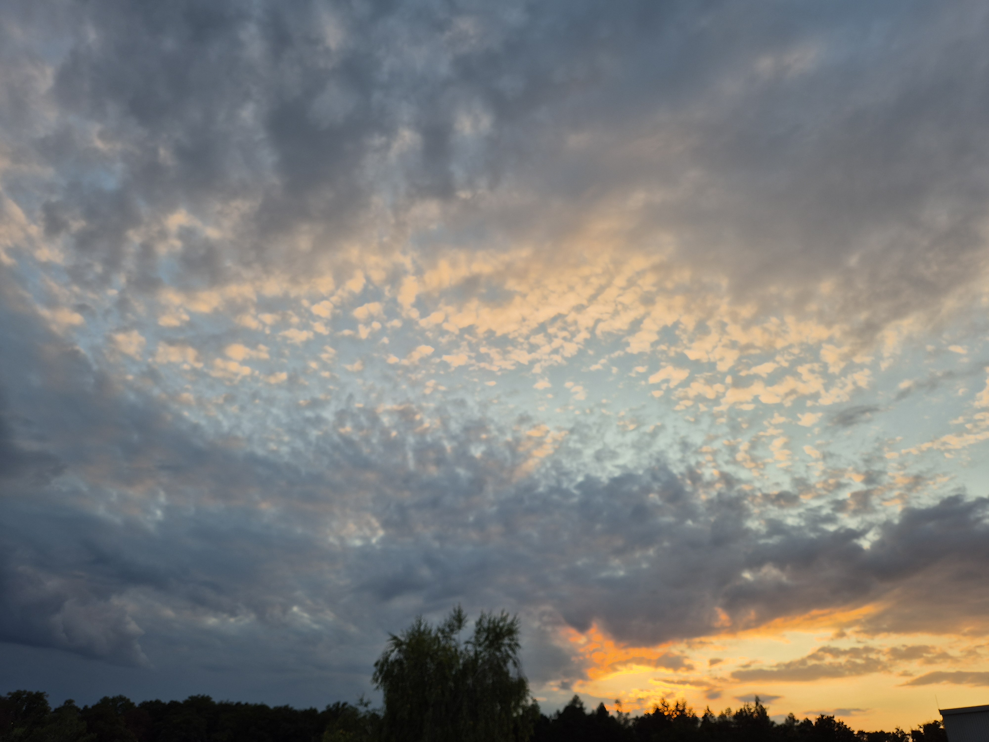 B2025_8_25