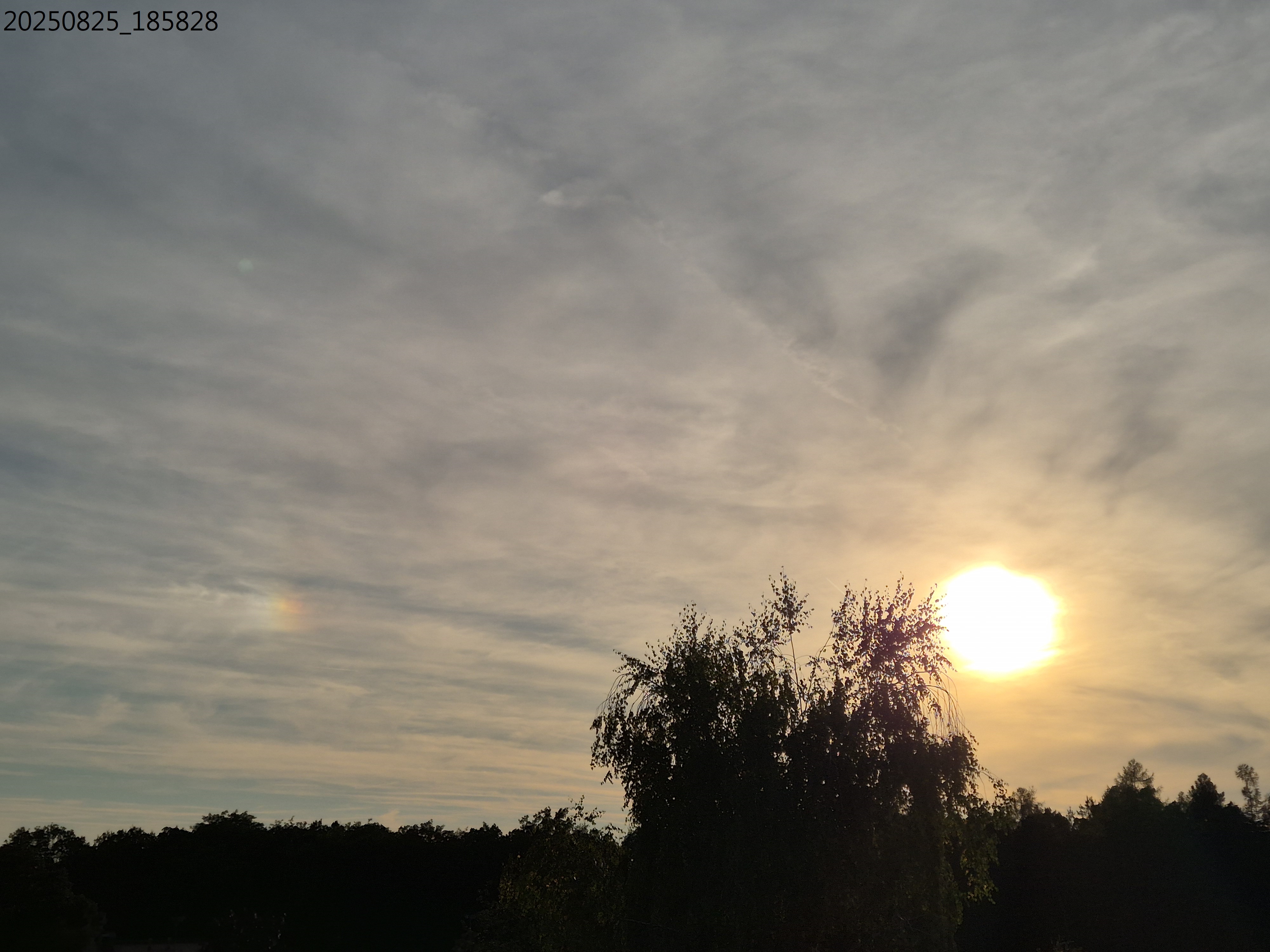 B2025_8_26