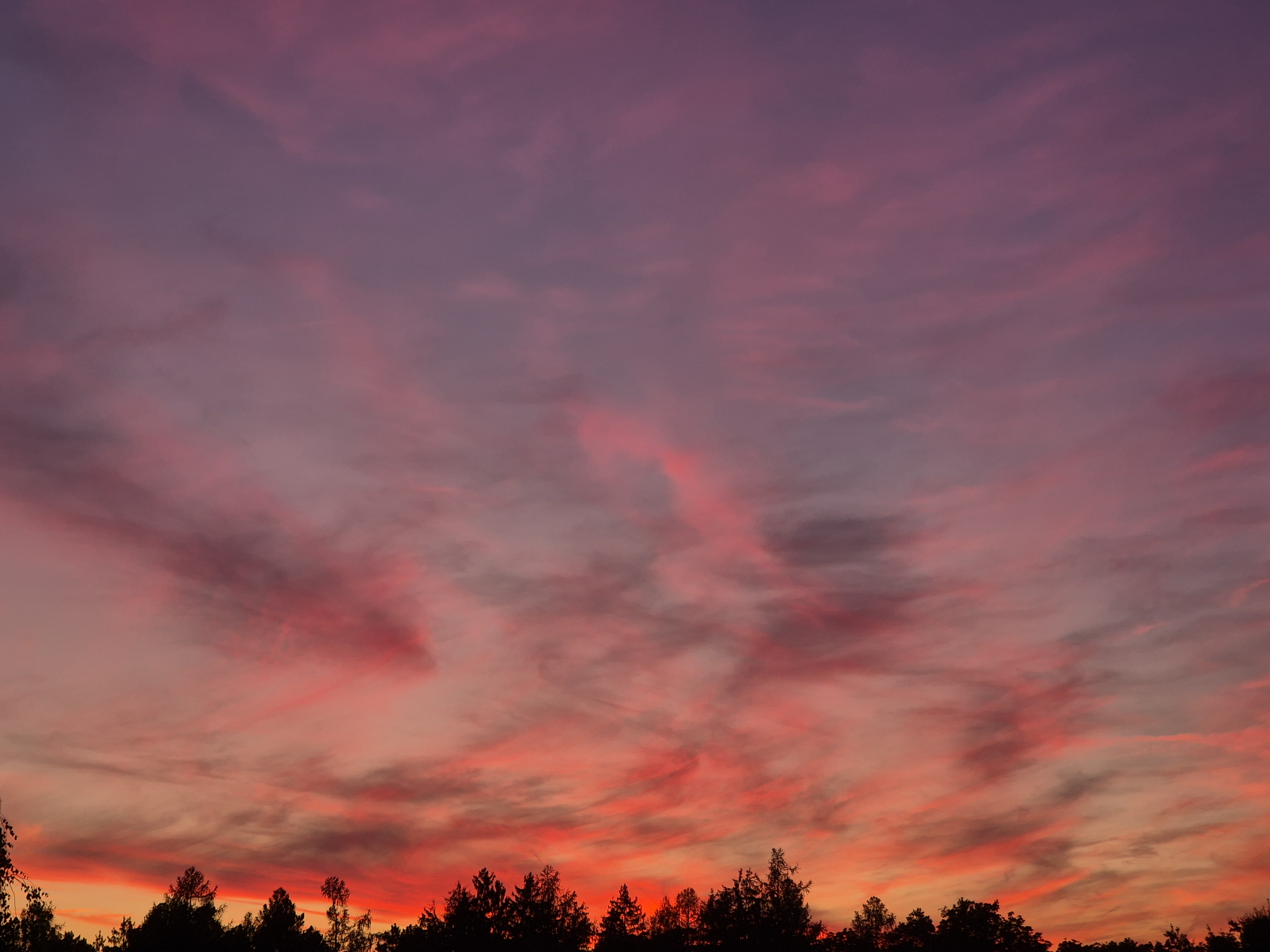 B2025_8_28