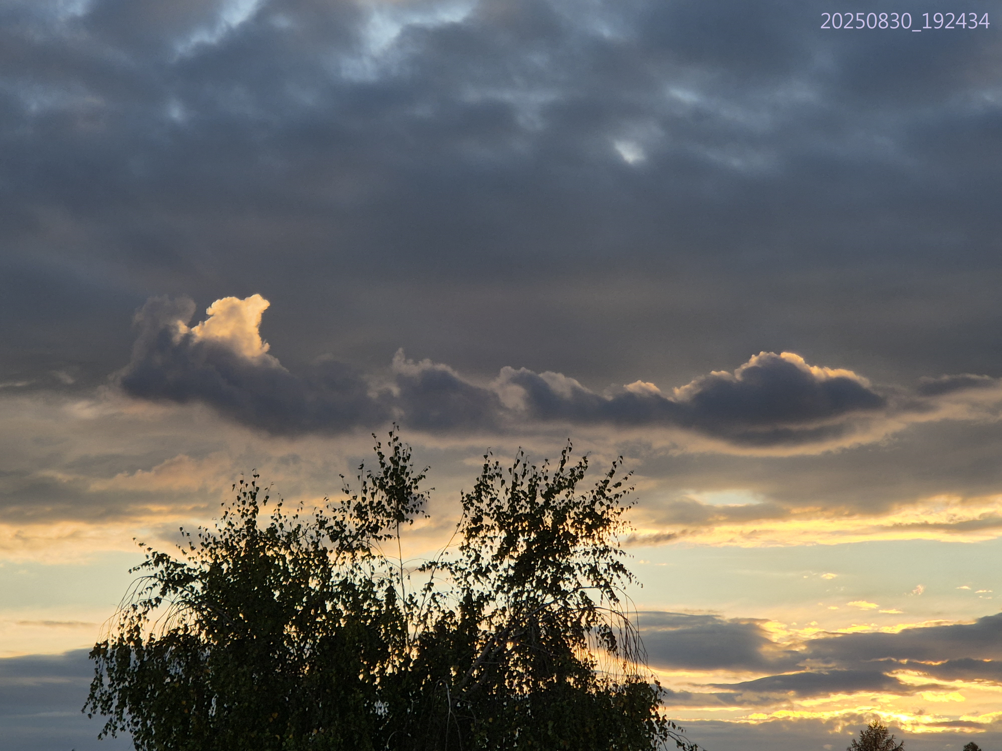 B2025_8_33