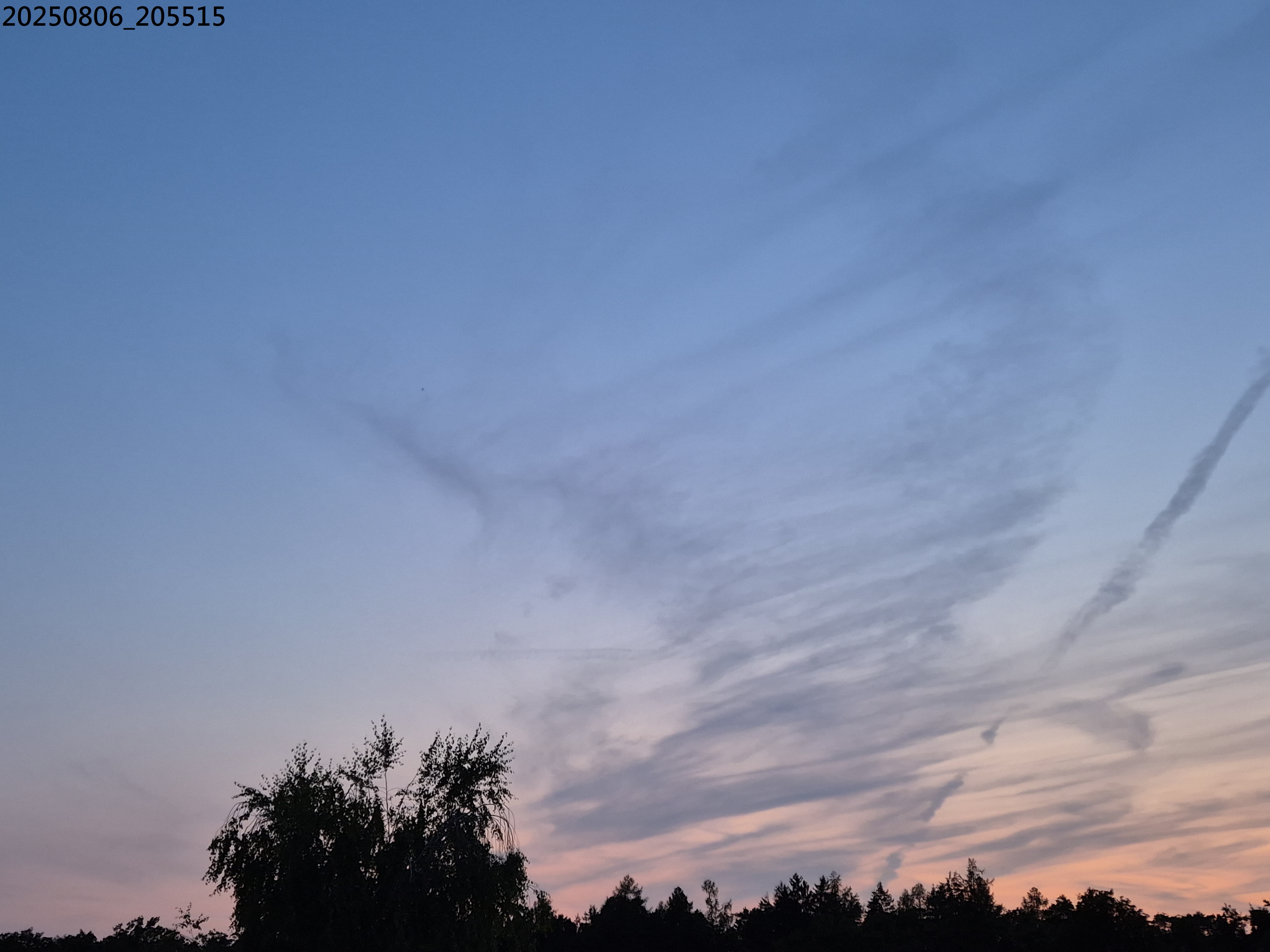 B2025_8_9