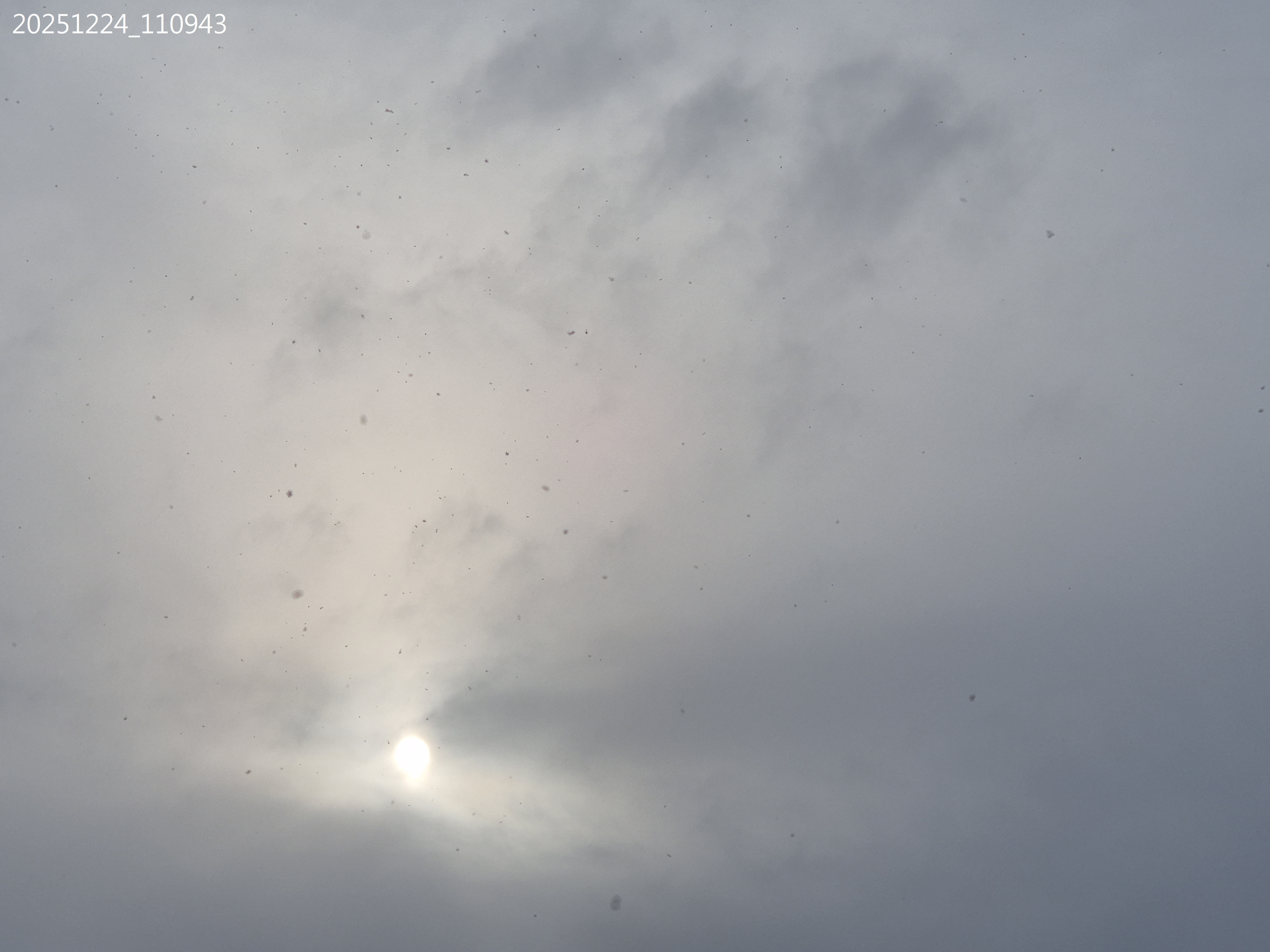 B2025_12_29