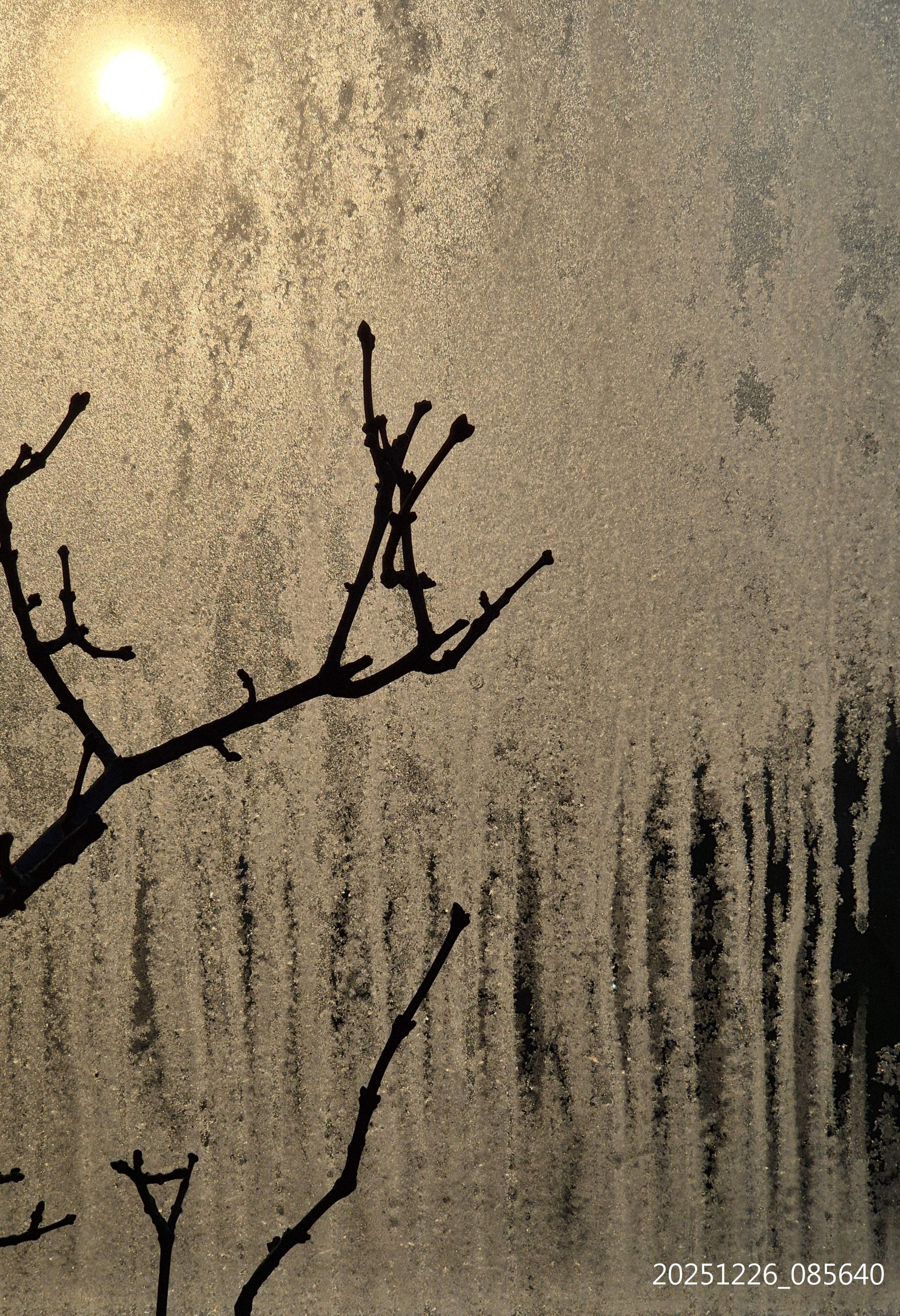 B2025_12_33