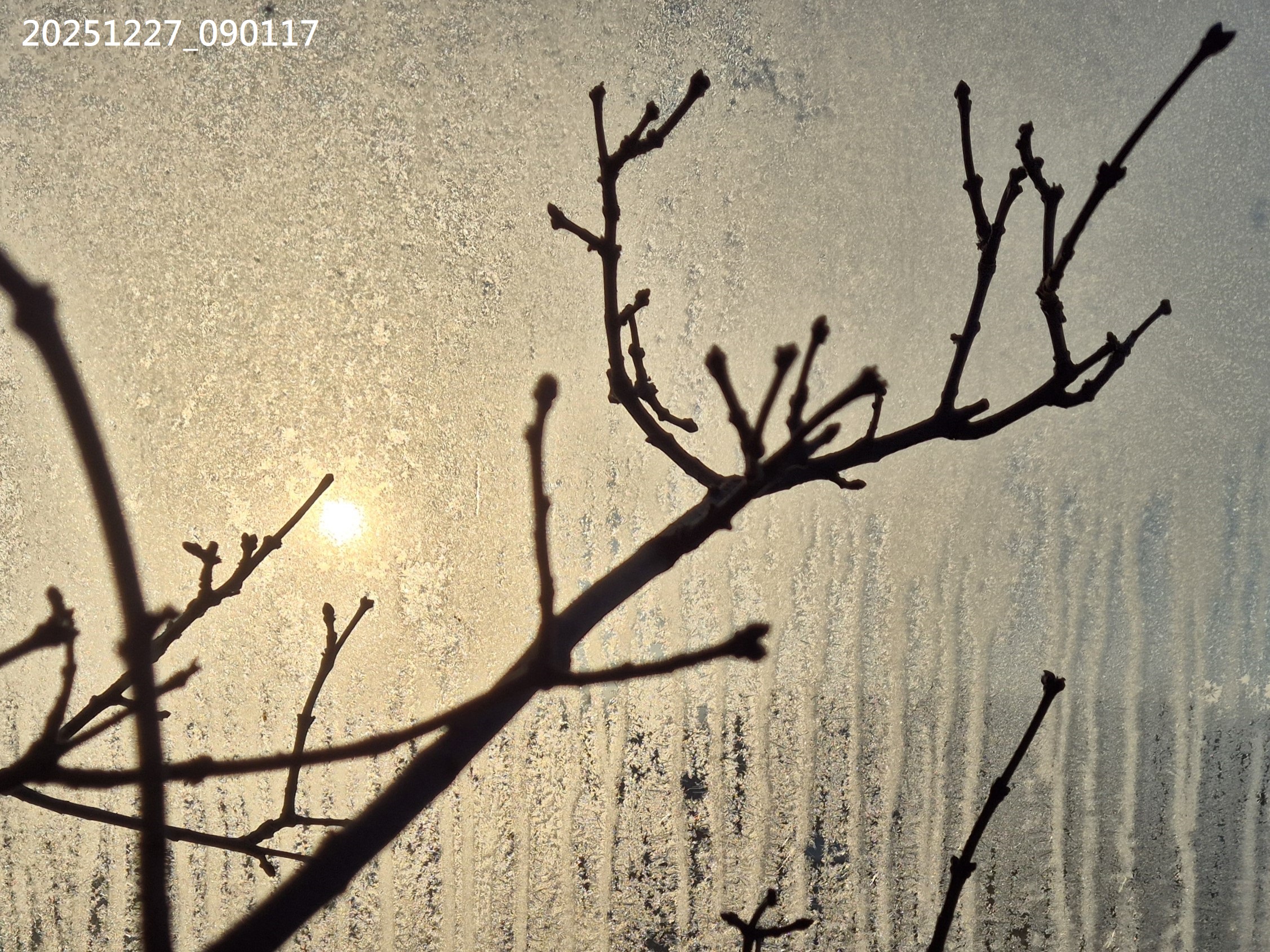 B2025_12_38