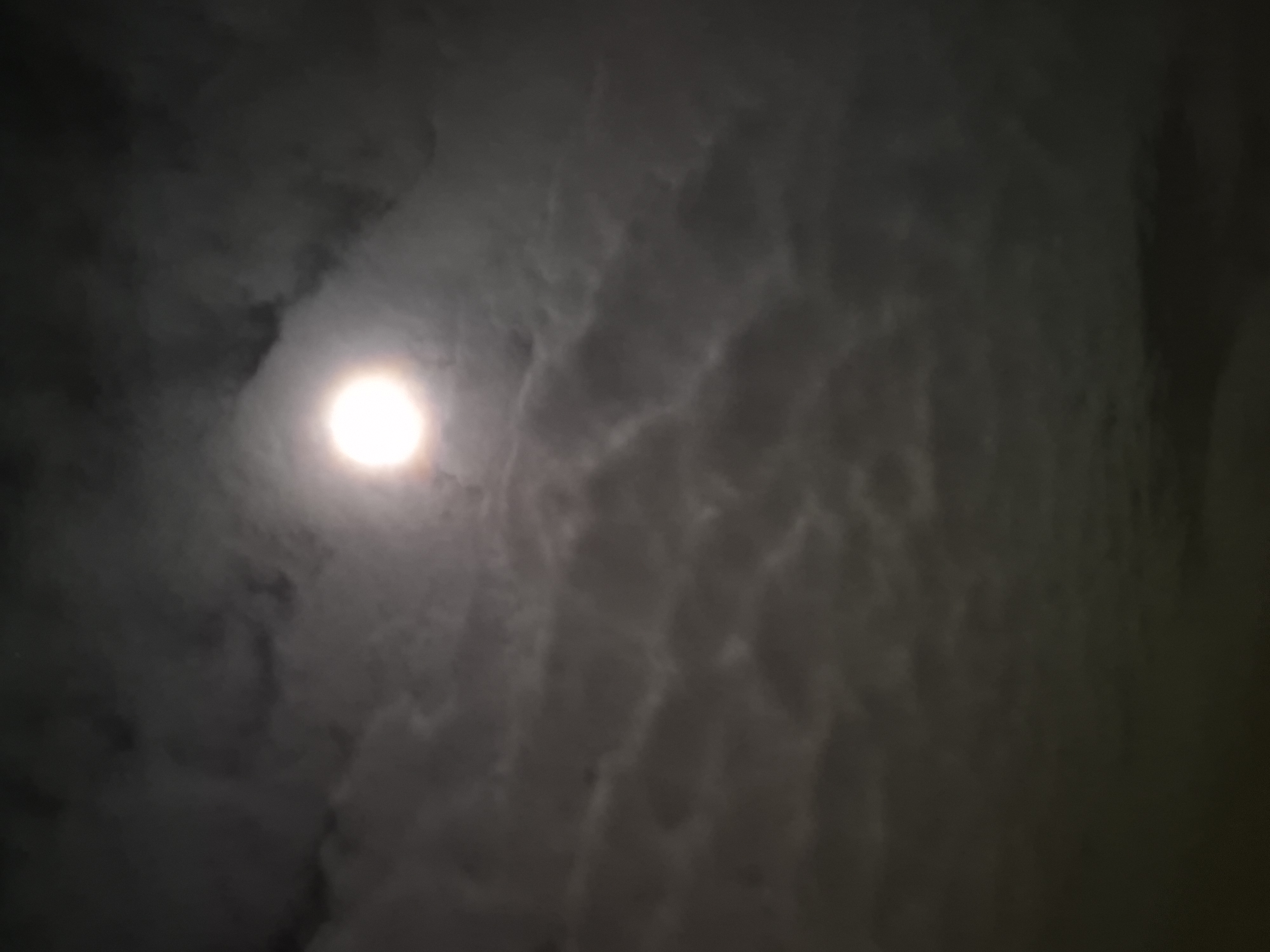 B2025_12_4