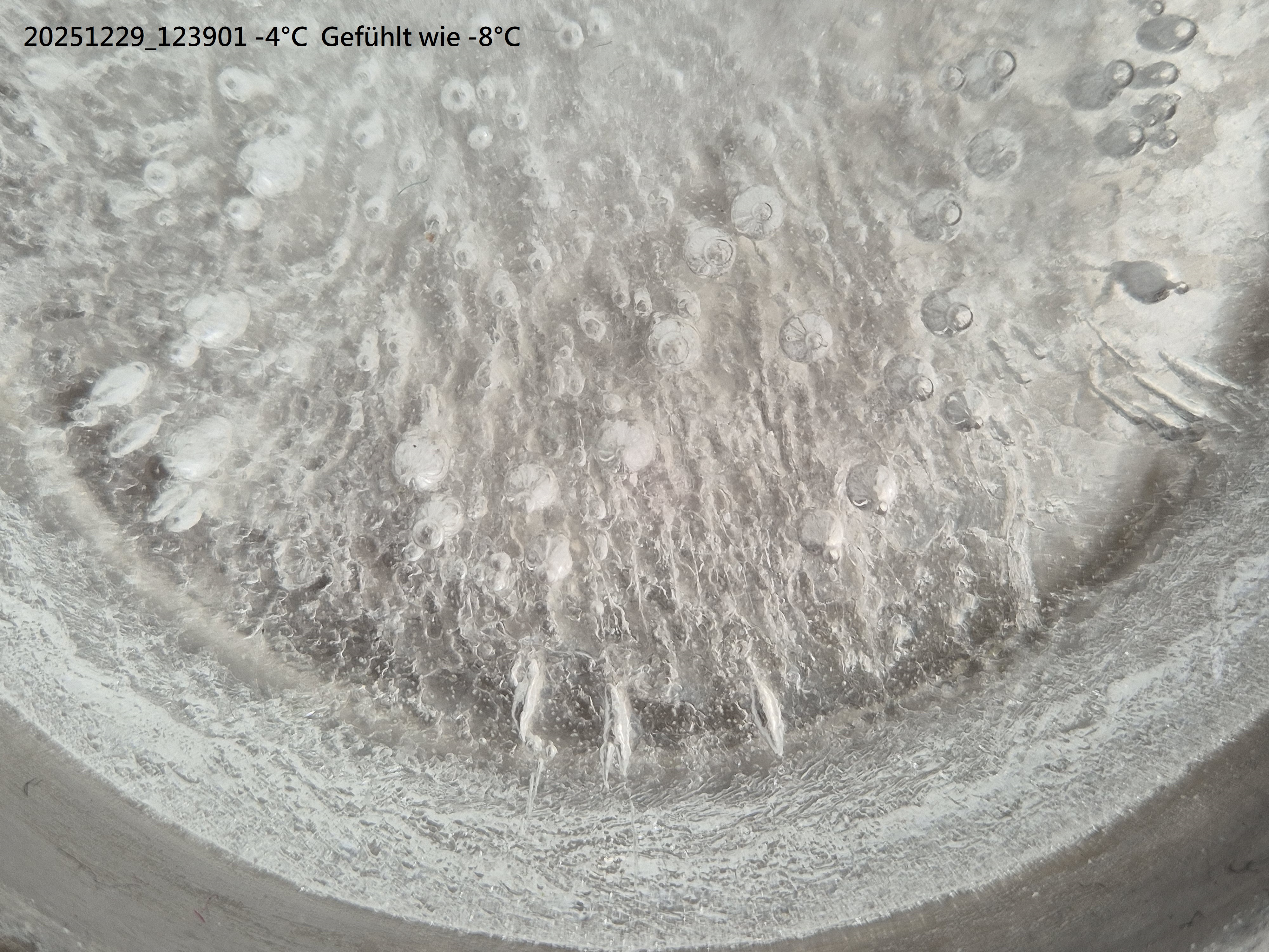 B2025_12_46