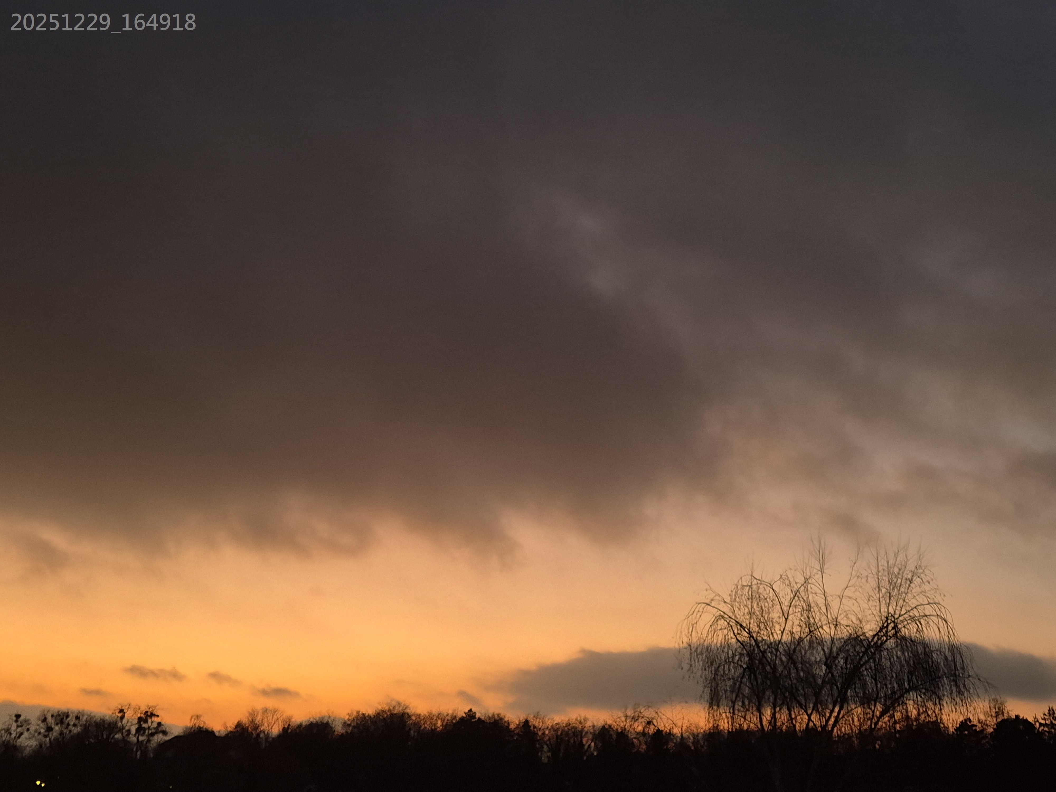 B2025_12_47
