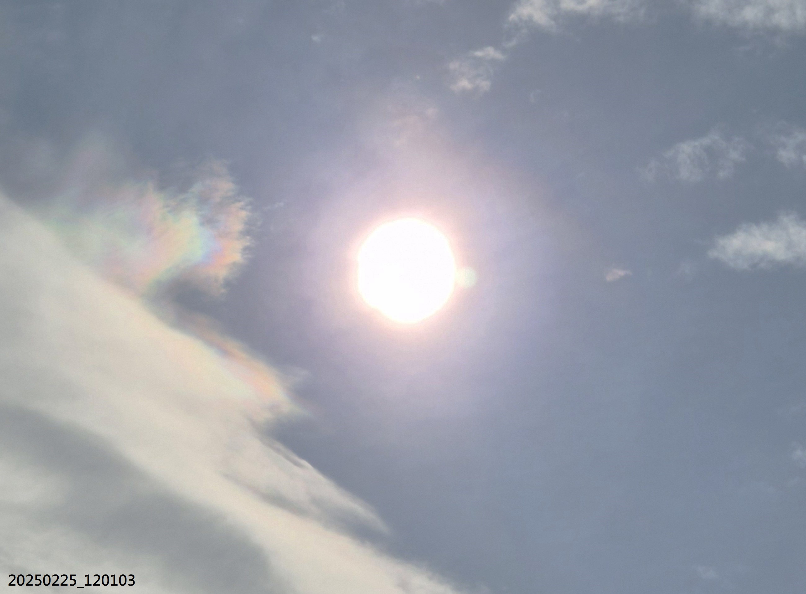 B2025_2_26