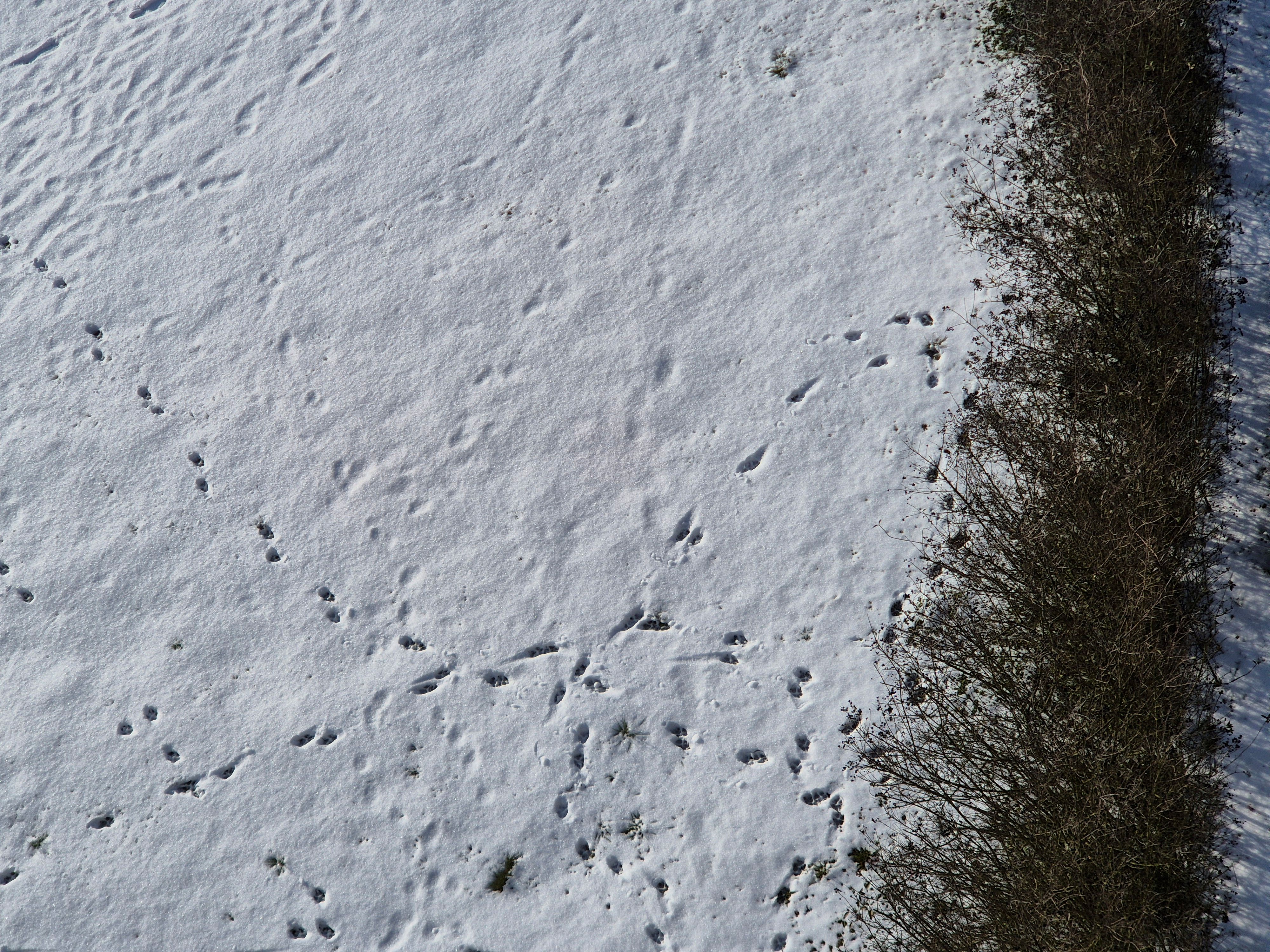 B2025_1_6