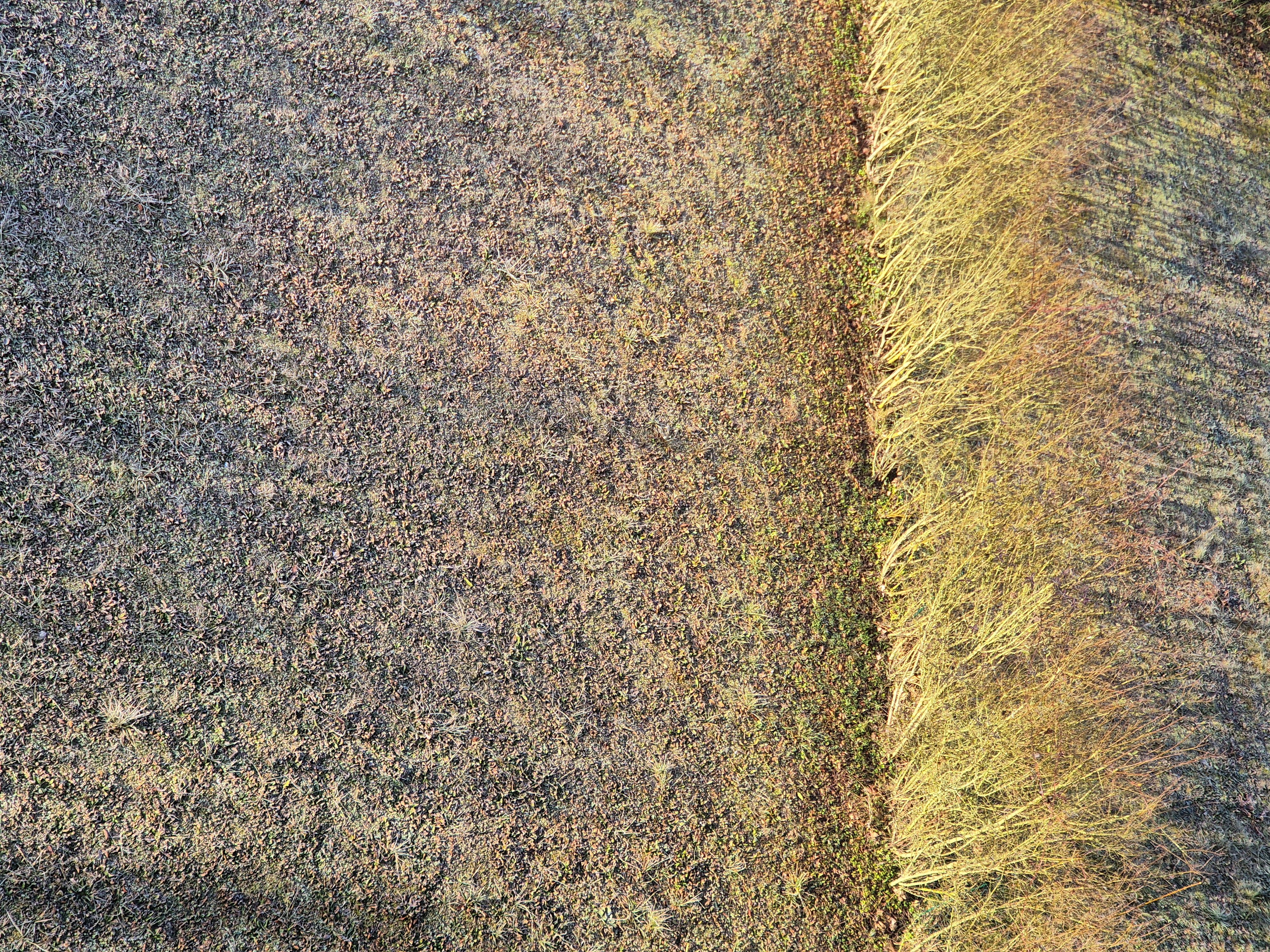 B2025_1_9