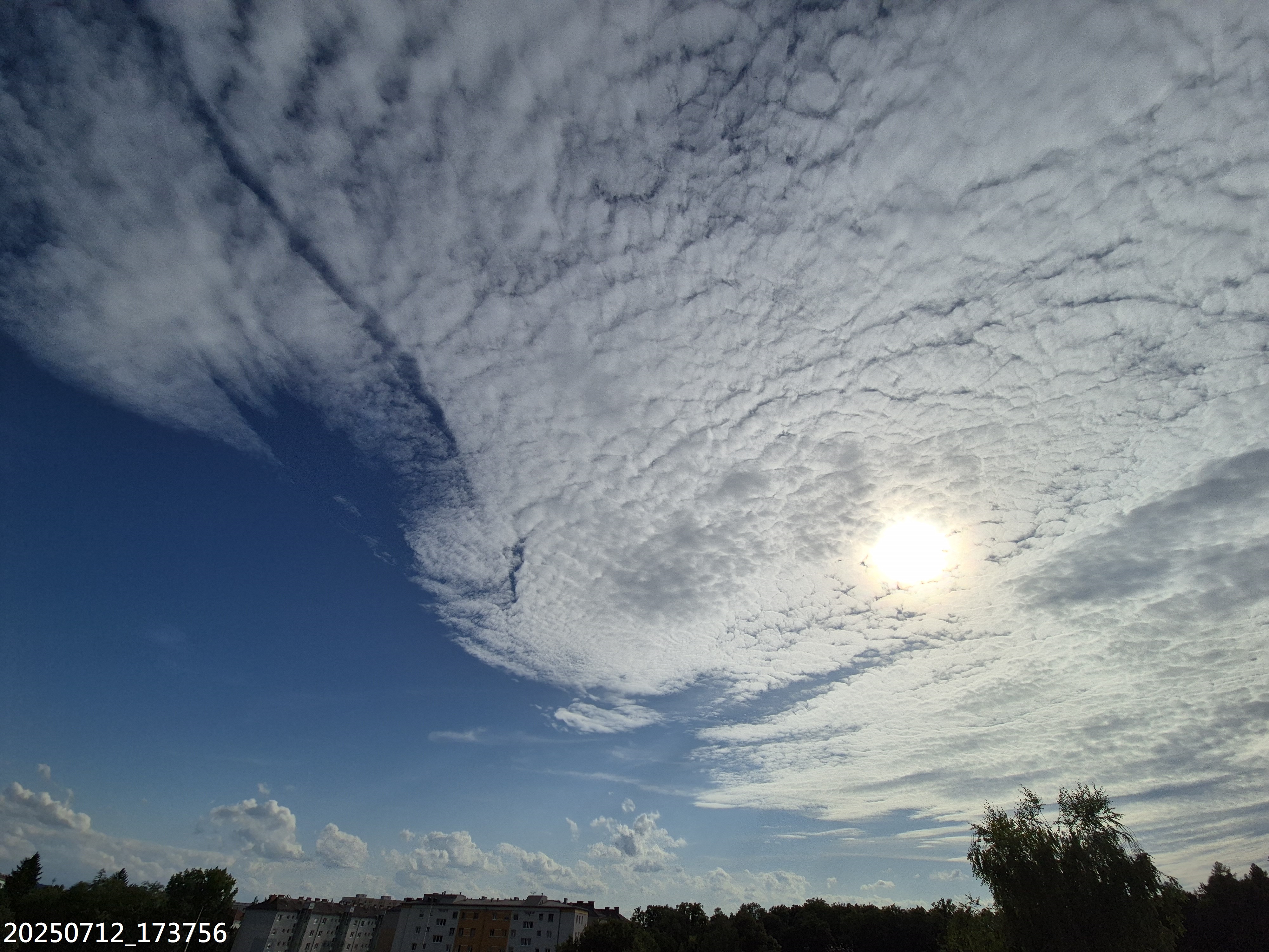 B2025_7_11