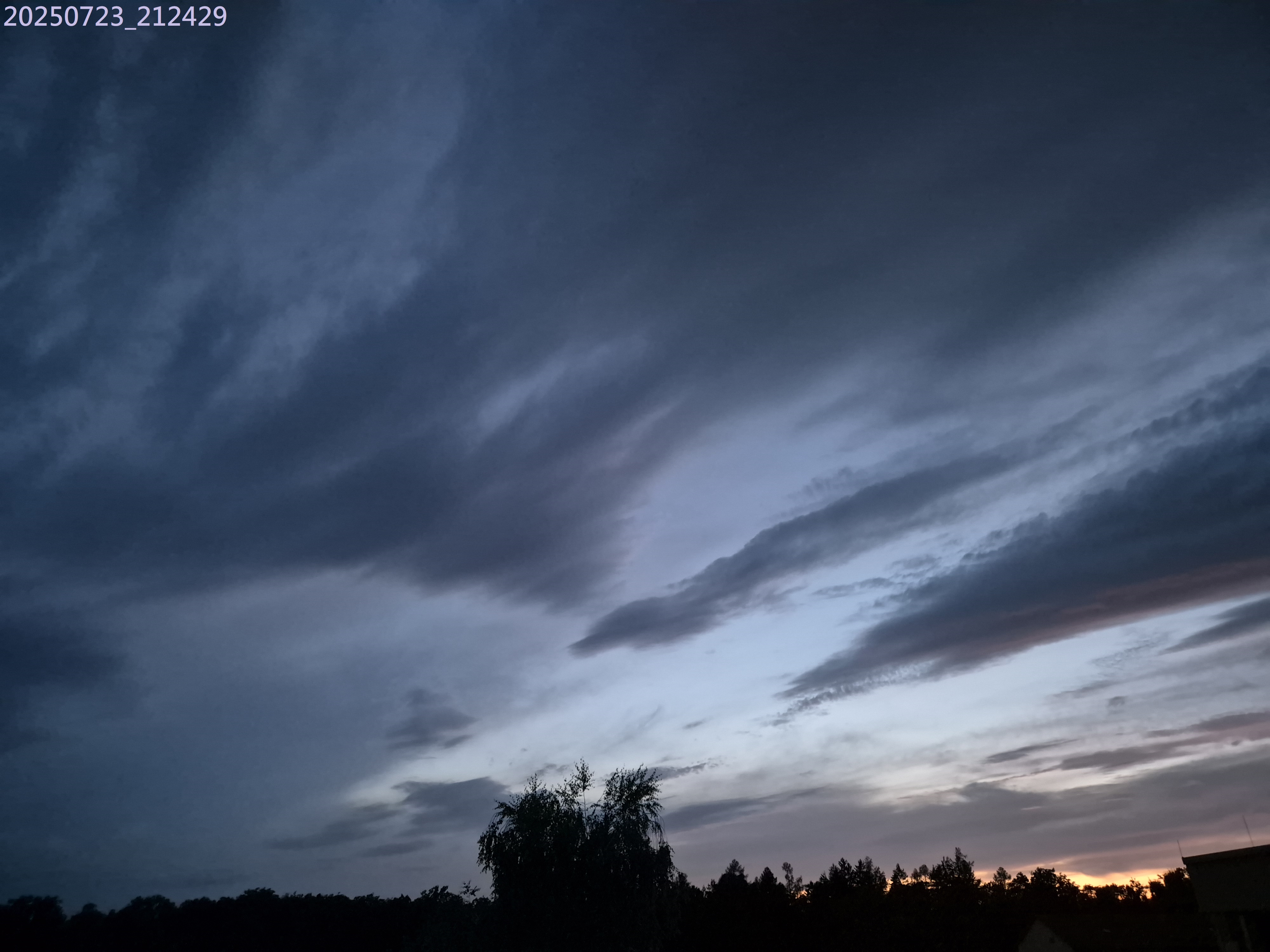 B2025_7_19