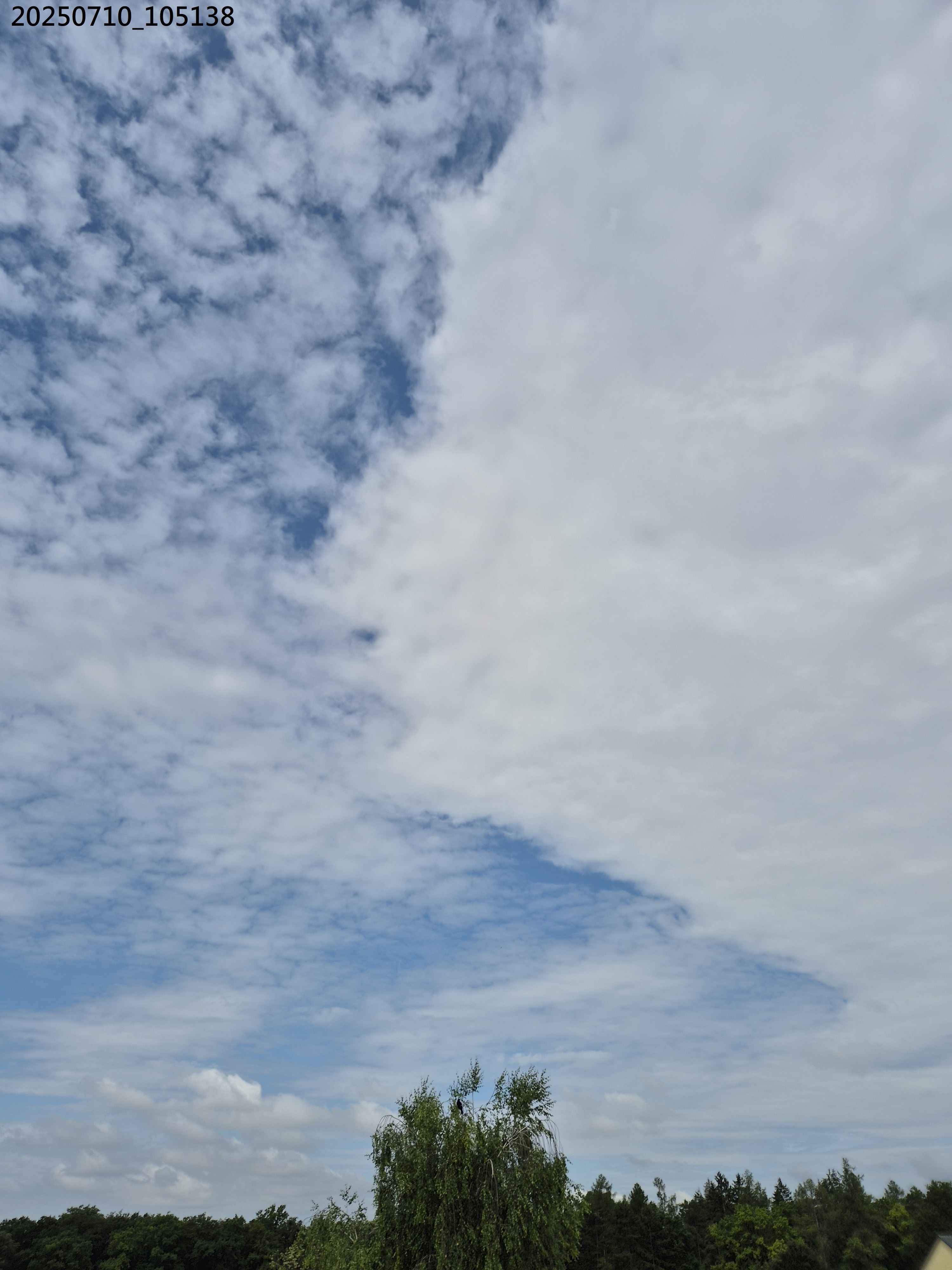B2025_7_8