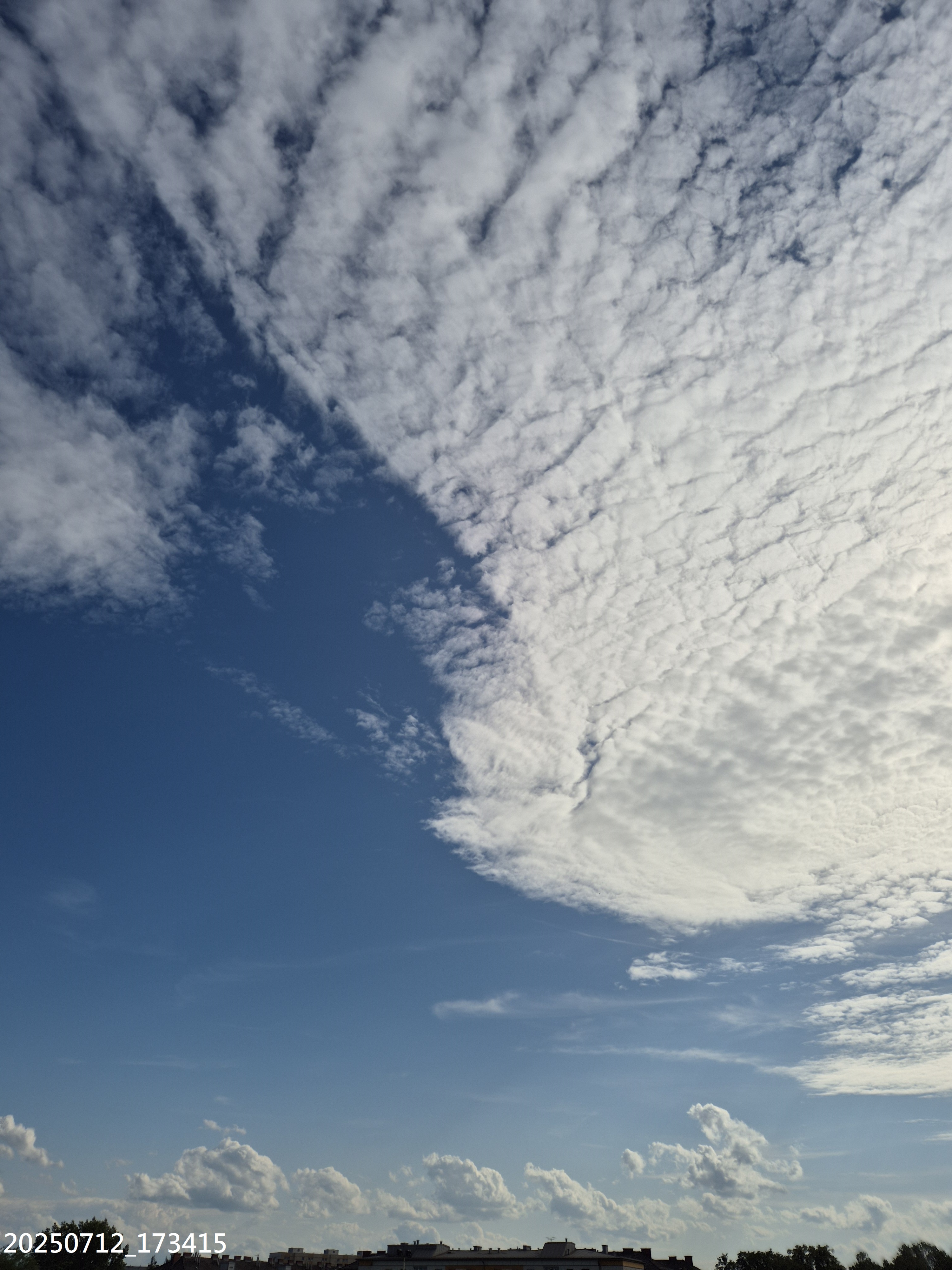 B2025_7_9