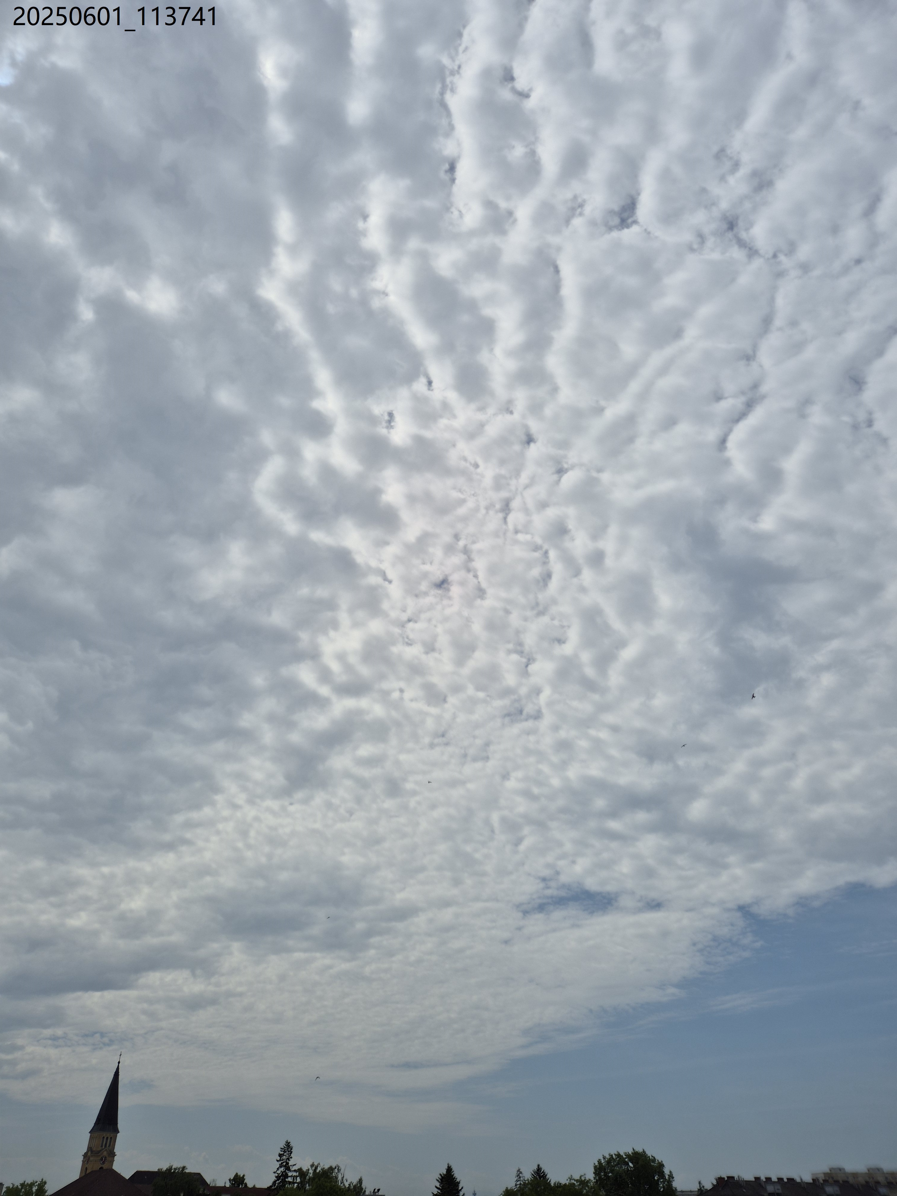 B2025_6_1