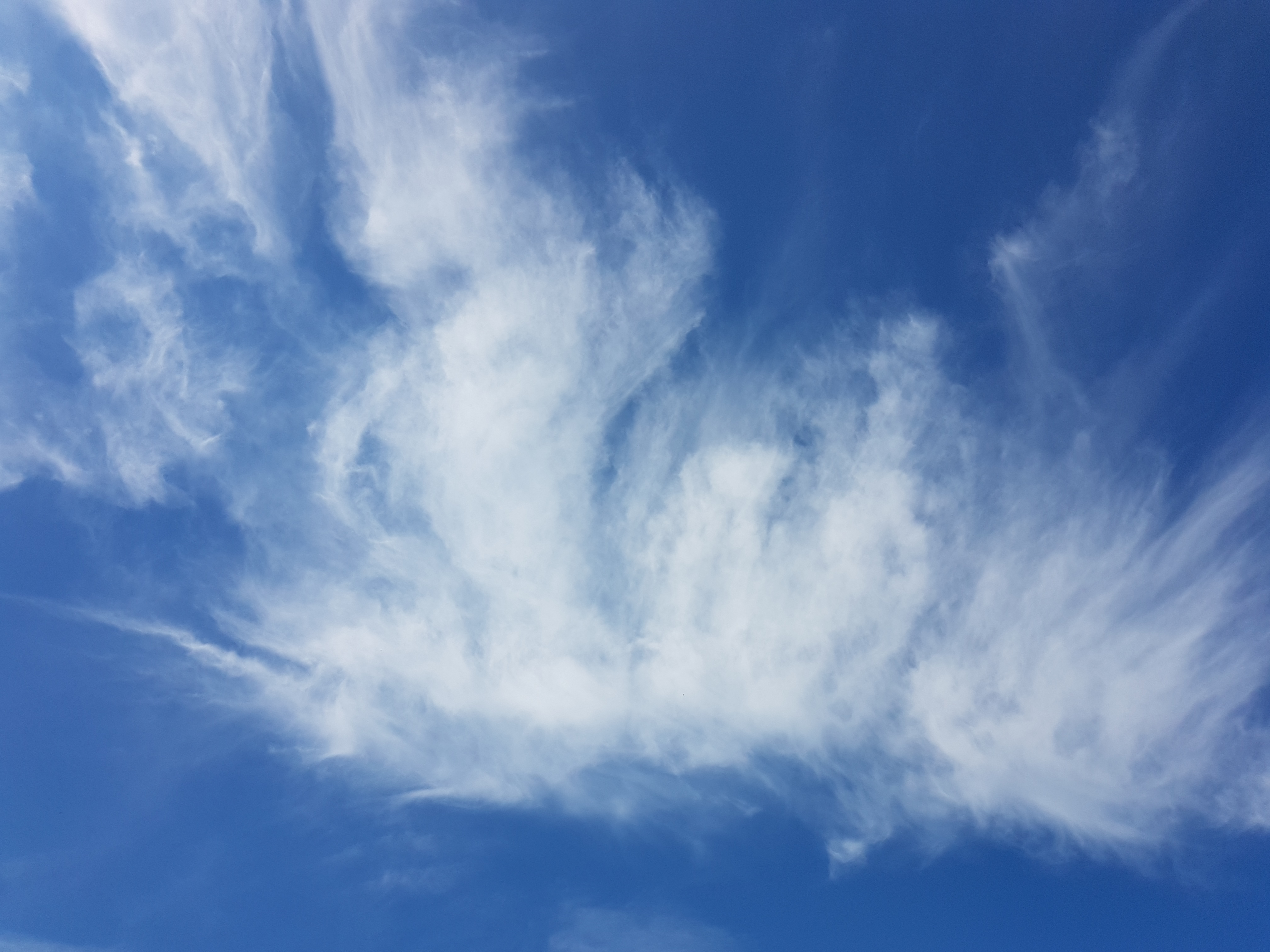 B2025_6_29