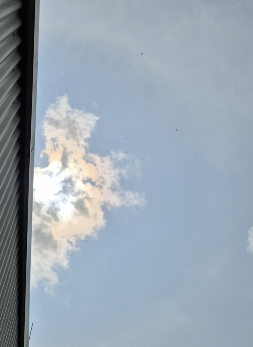 B2025_6_5