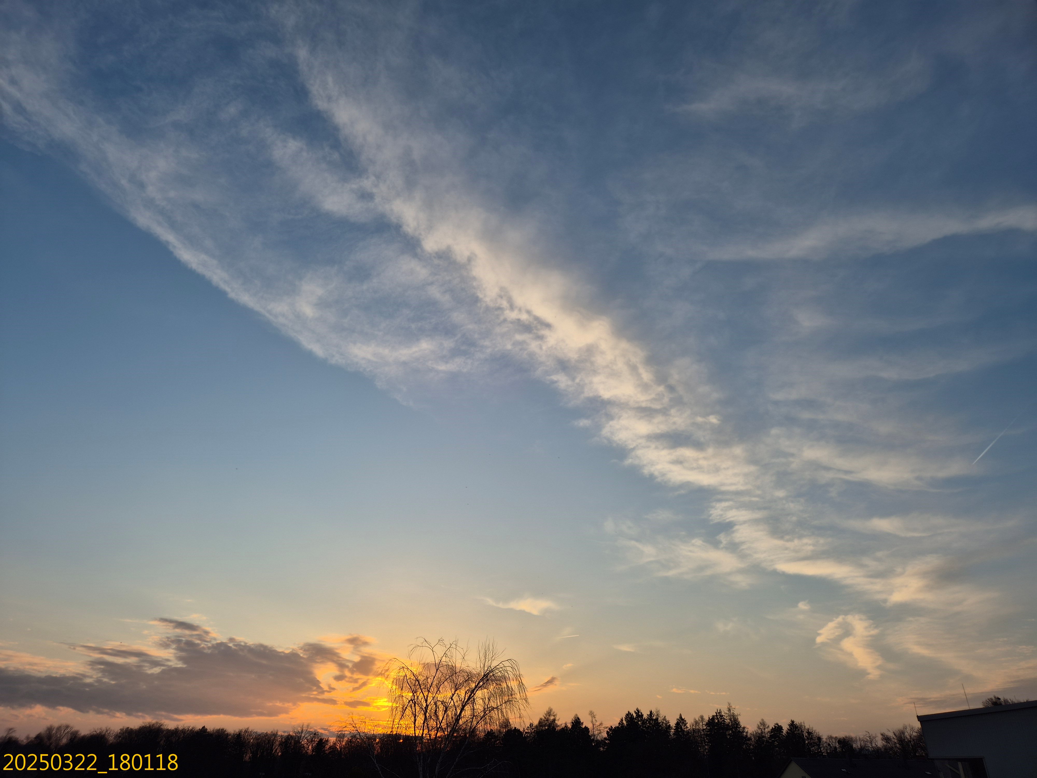 B2025_3_20