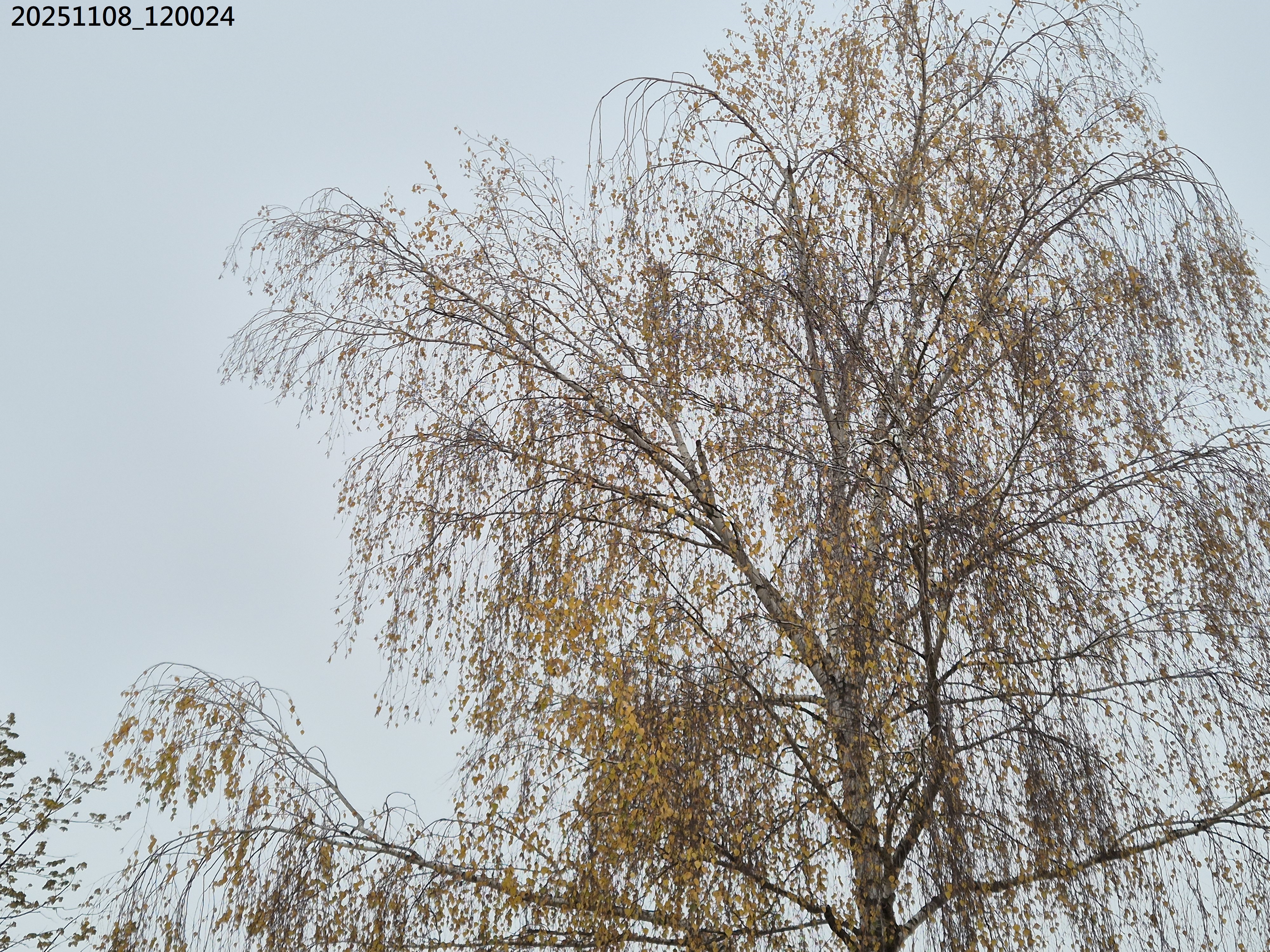 B2025_11_13