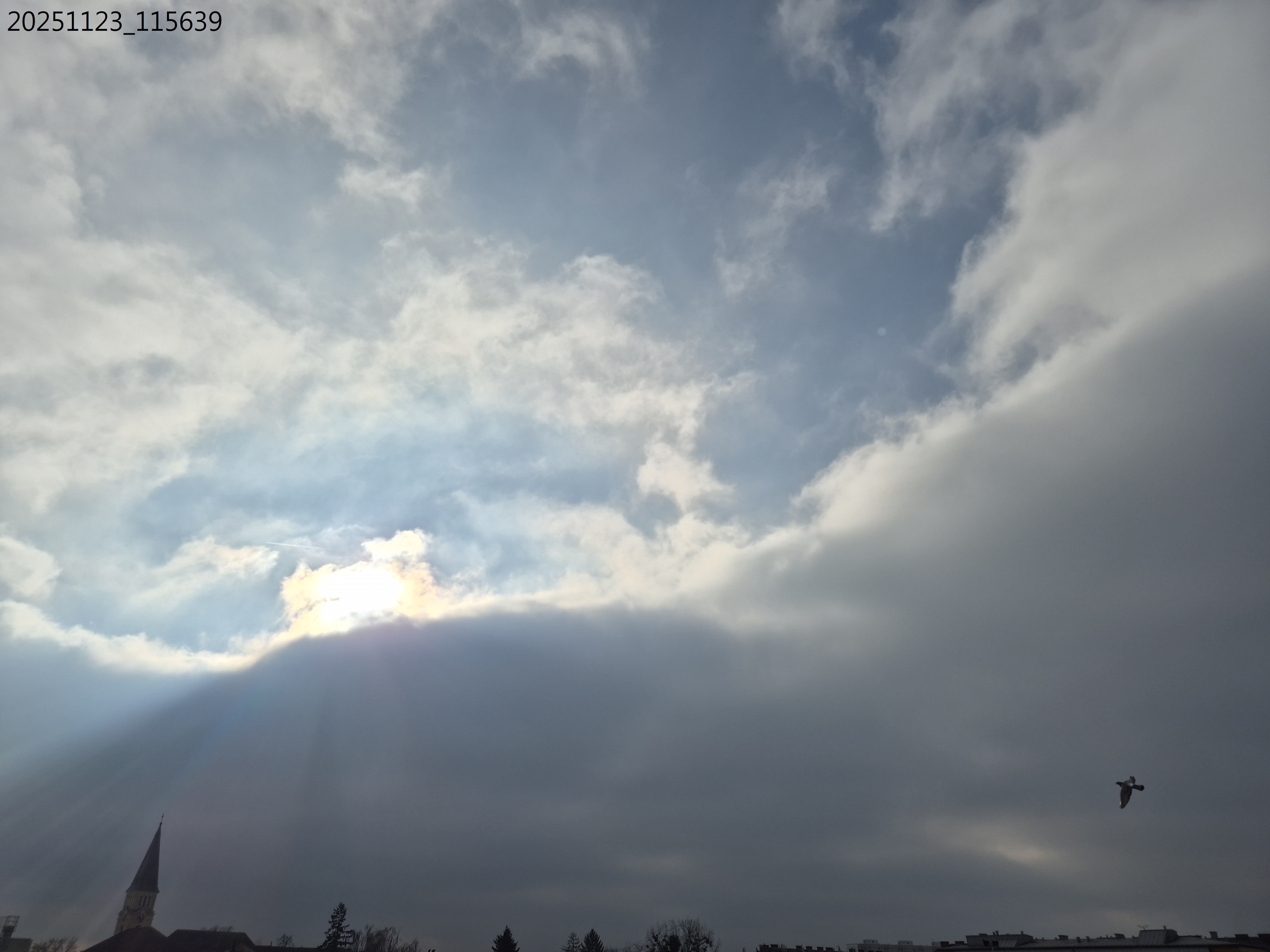 B2025_11_33