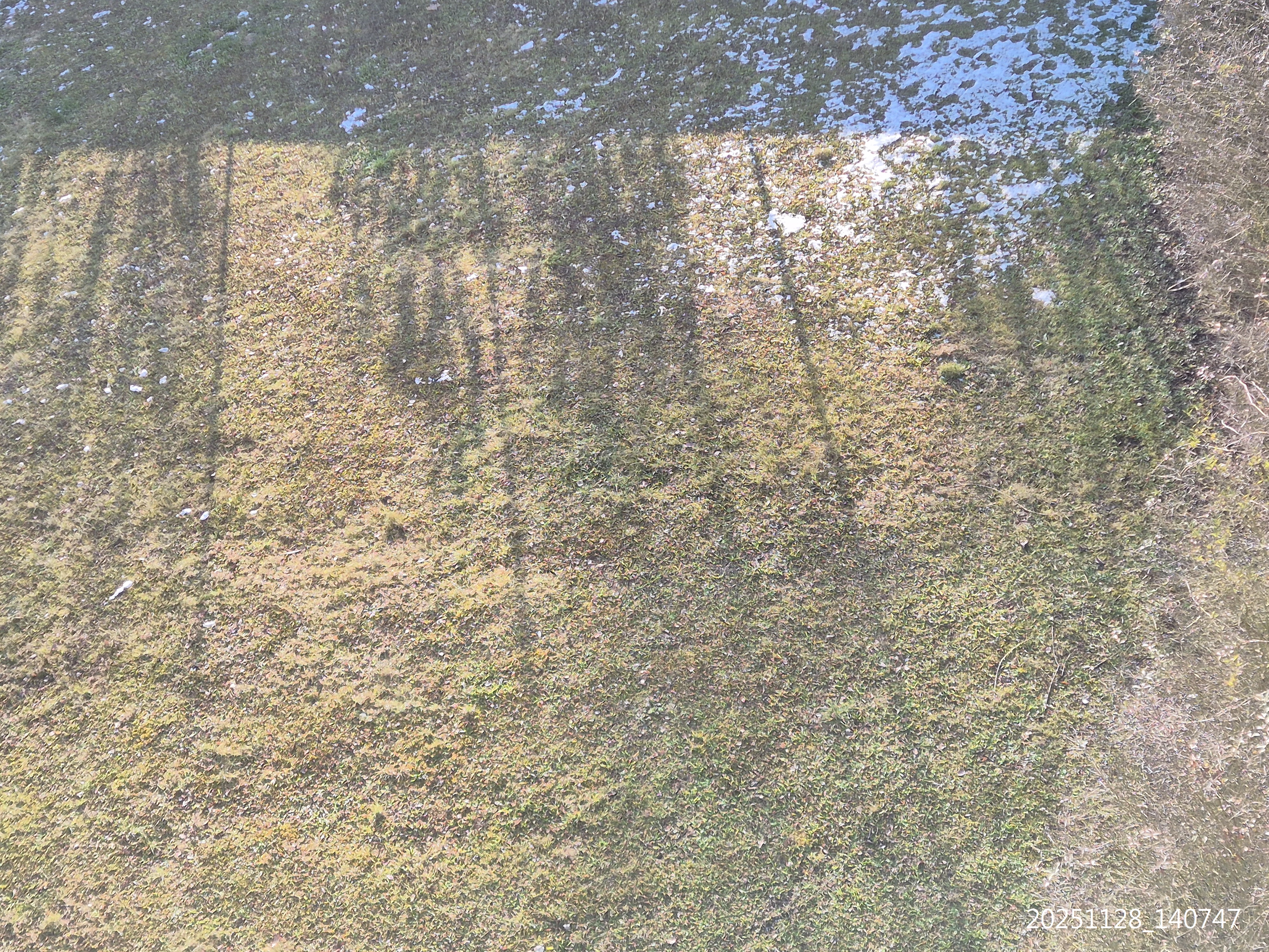 B2025_11_44