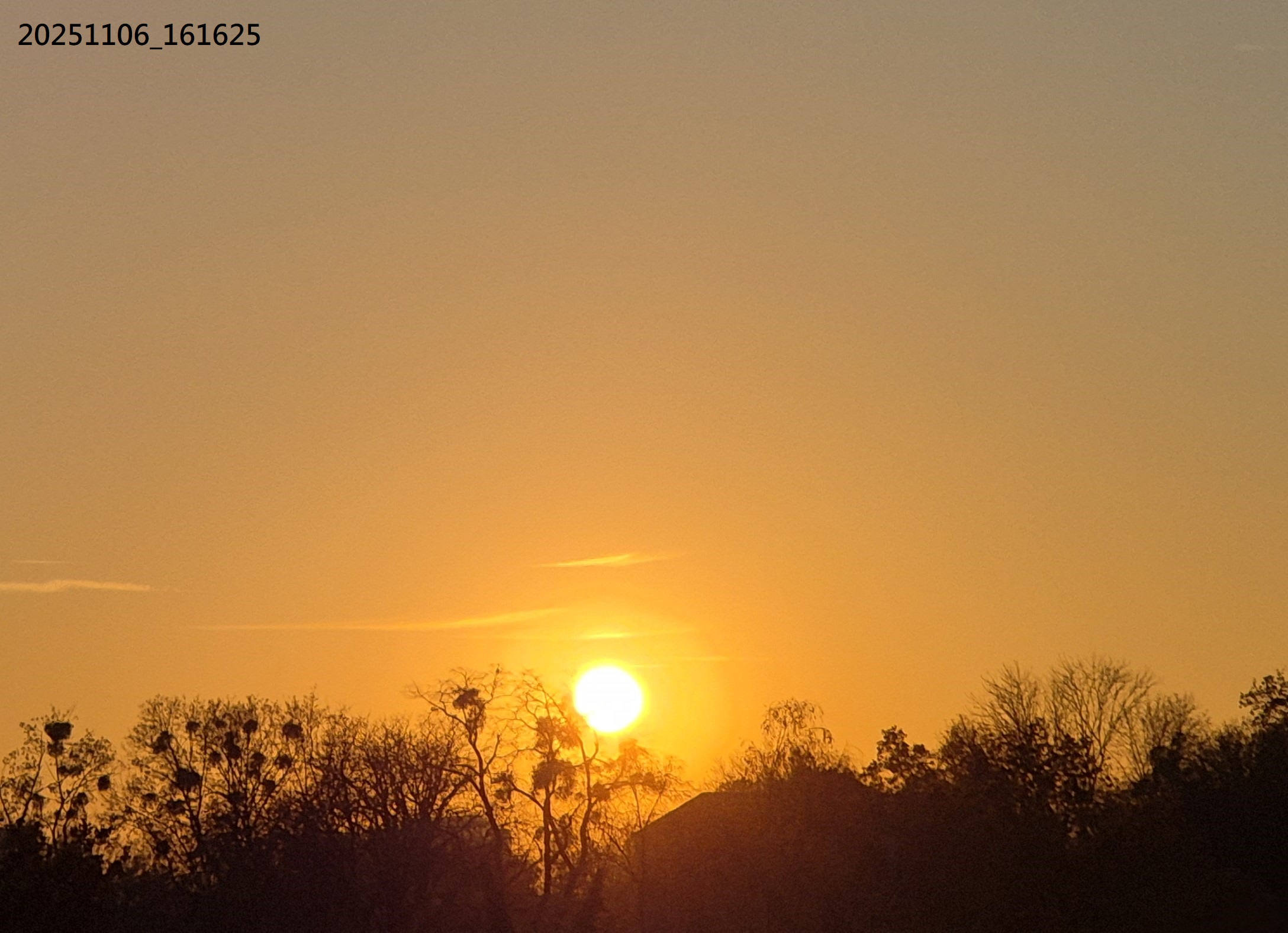 B2025_11_9