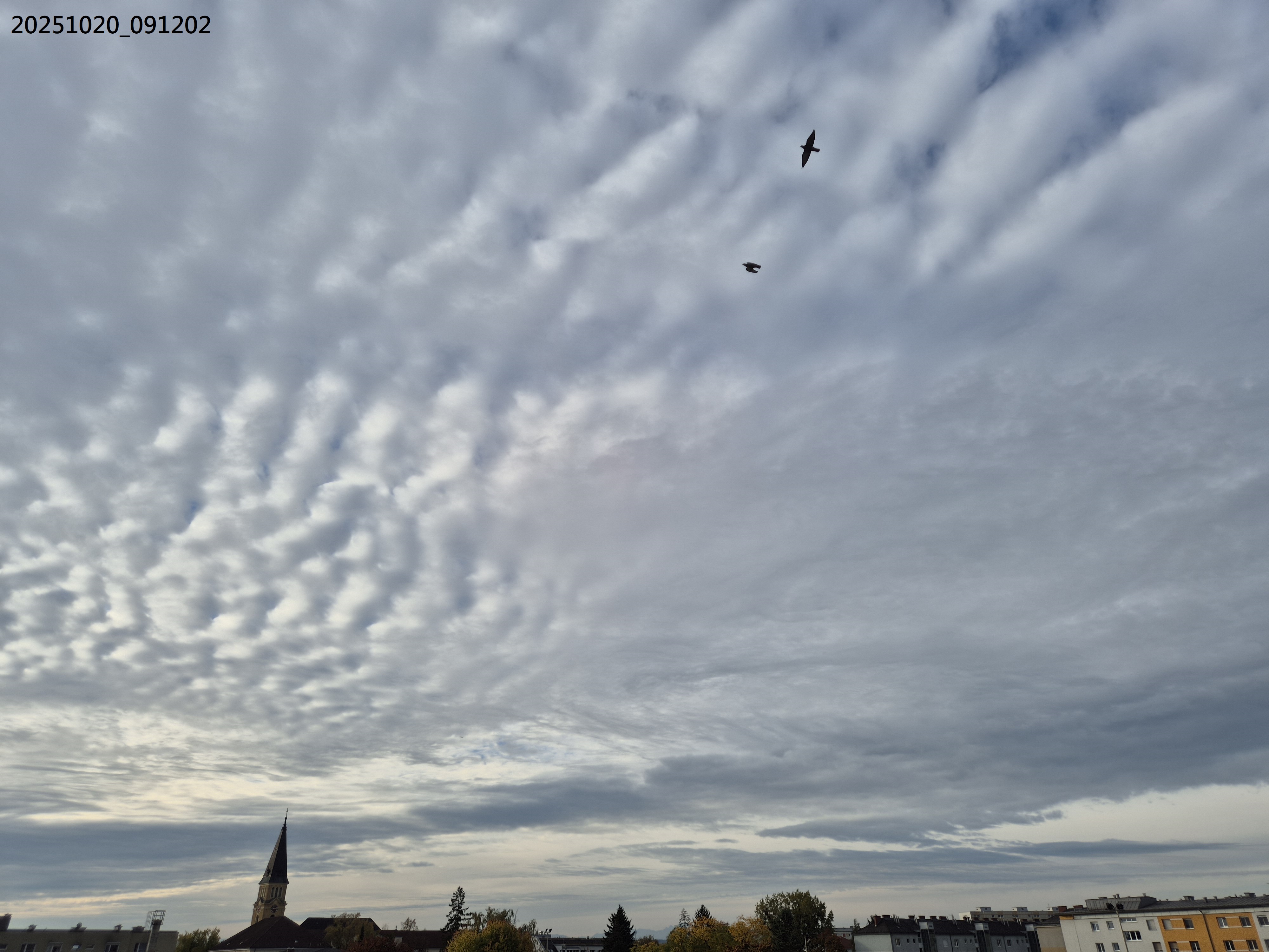 B2025_10_22