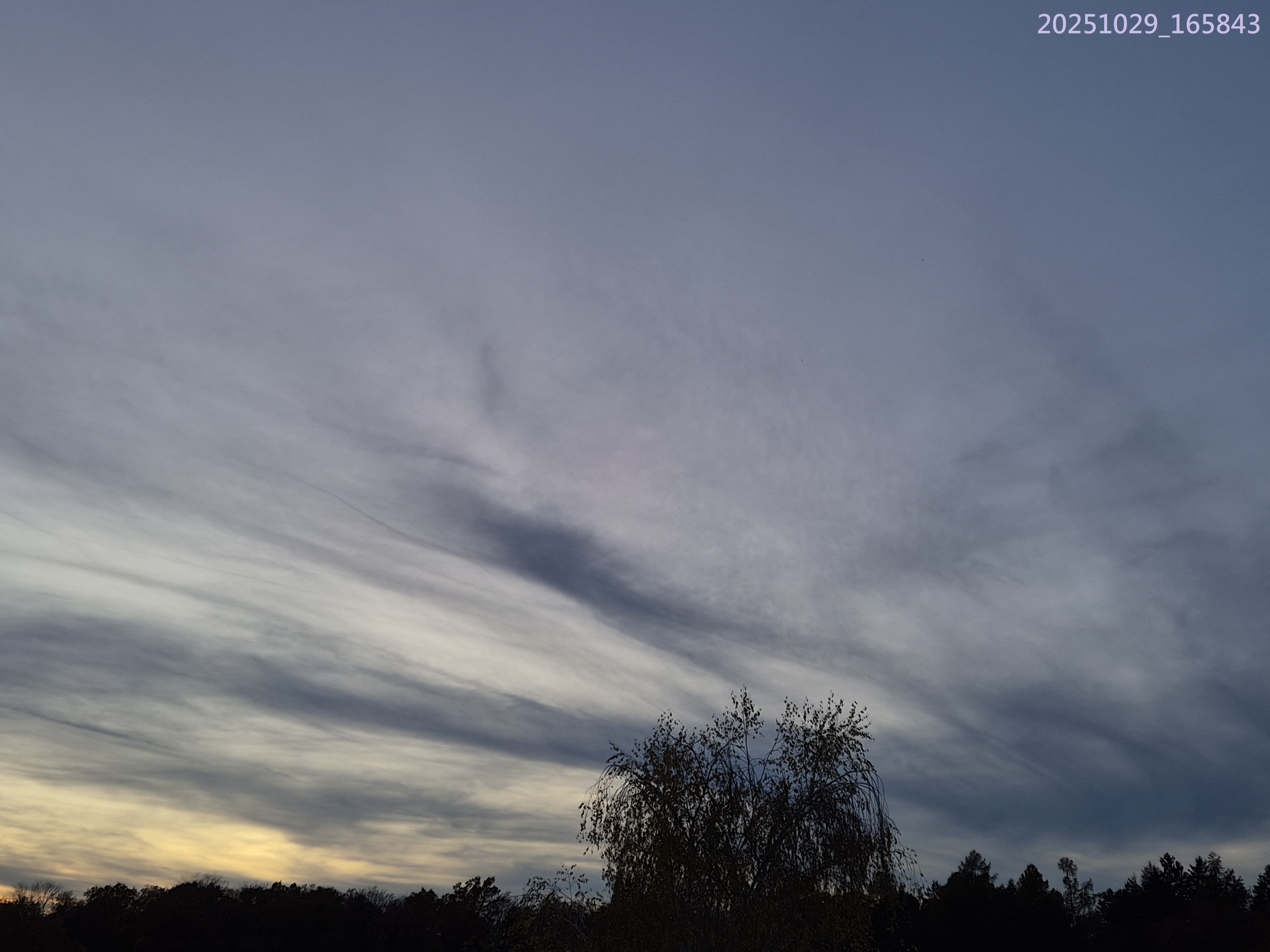 B2025_10_41