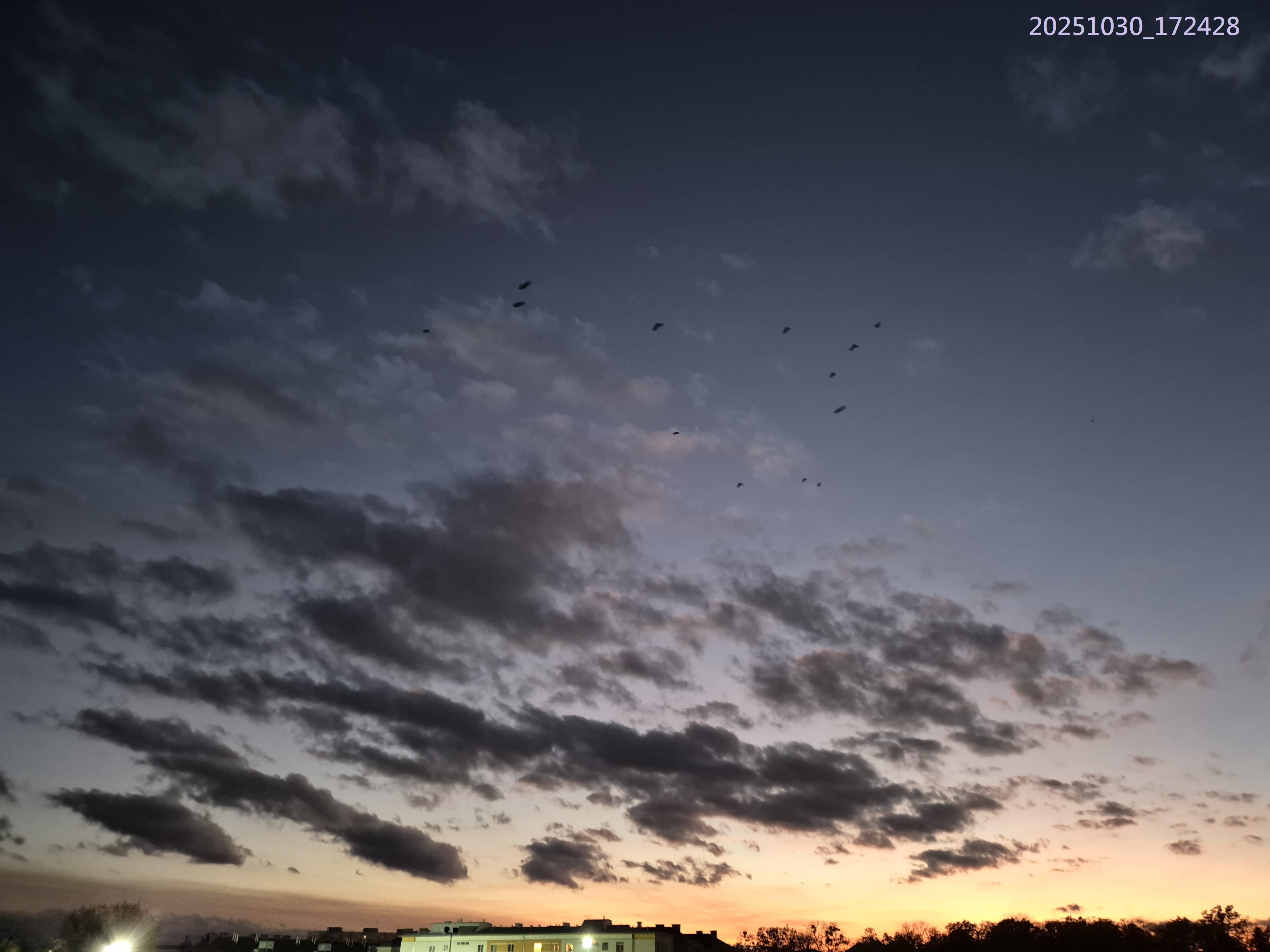 B2025_10_42
