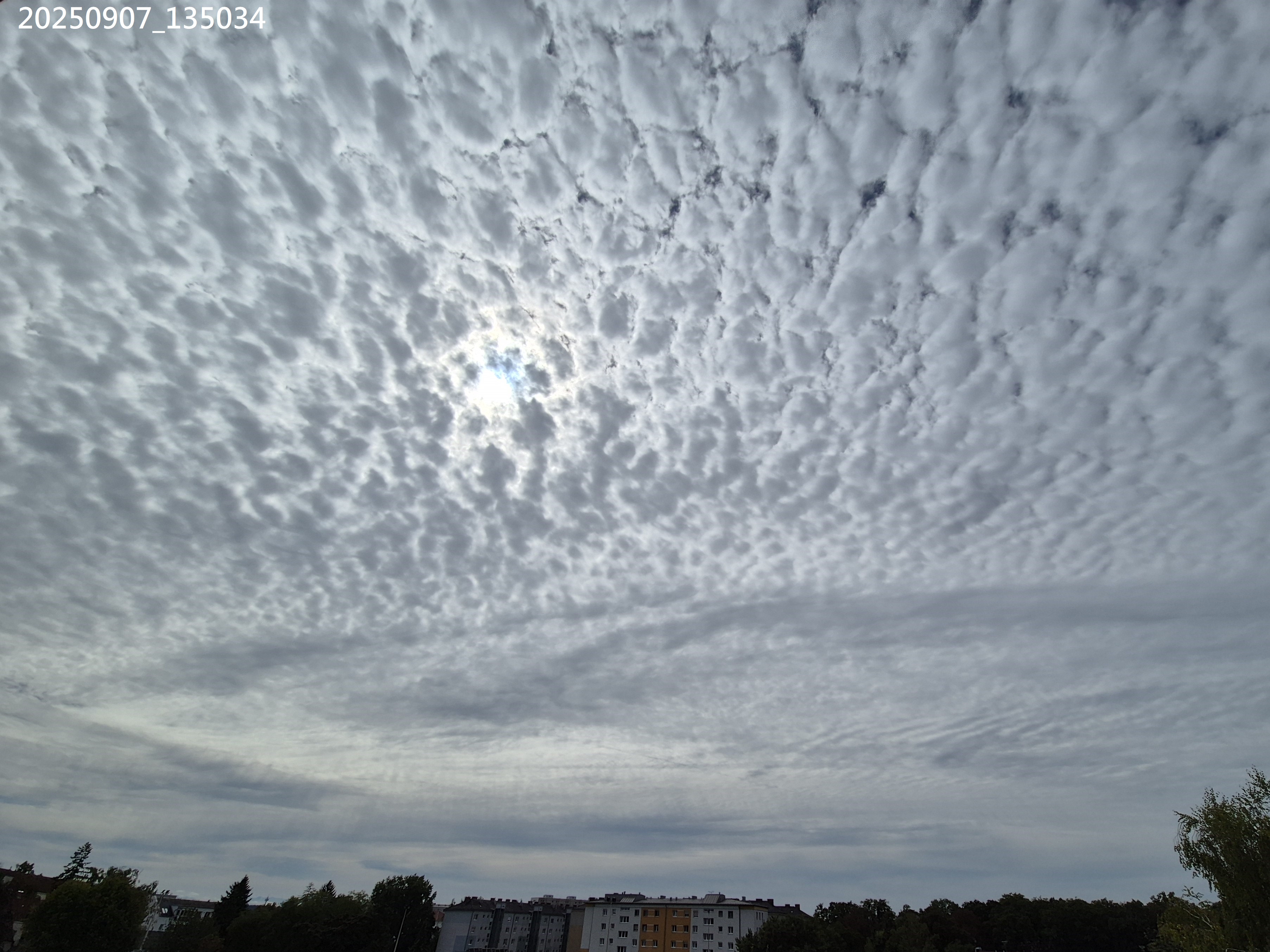 B2025_9_11