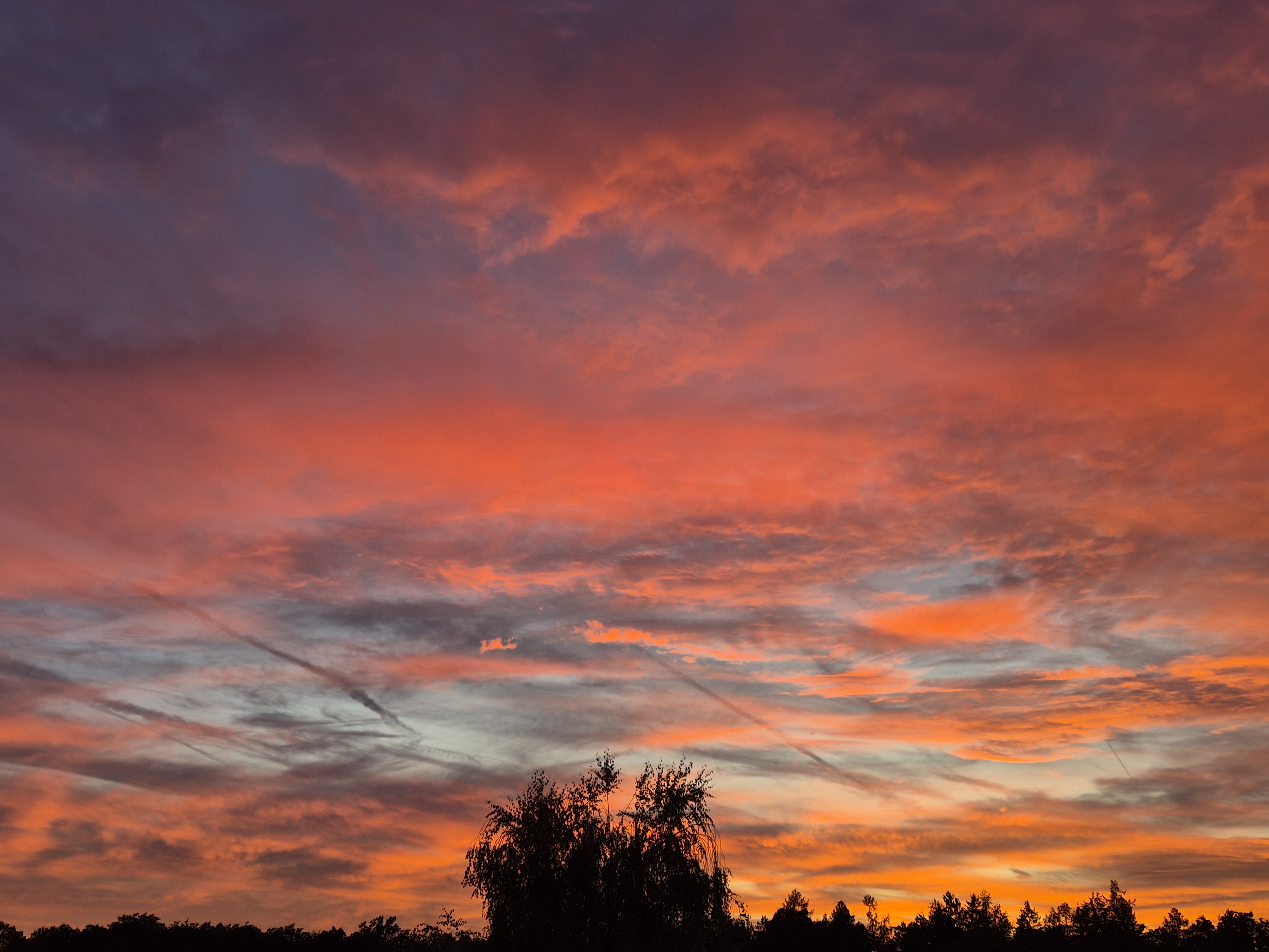 B2025_9_14
