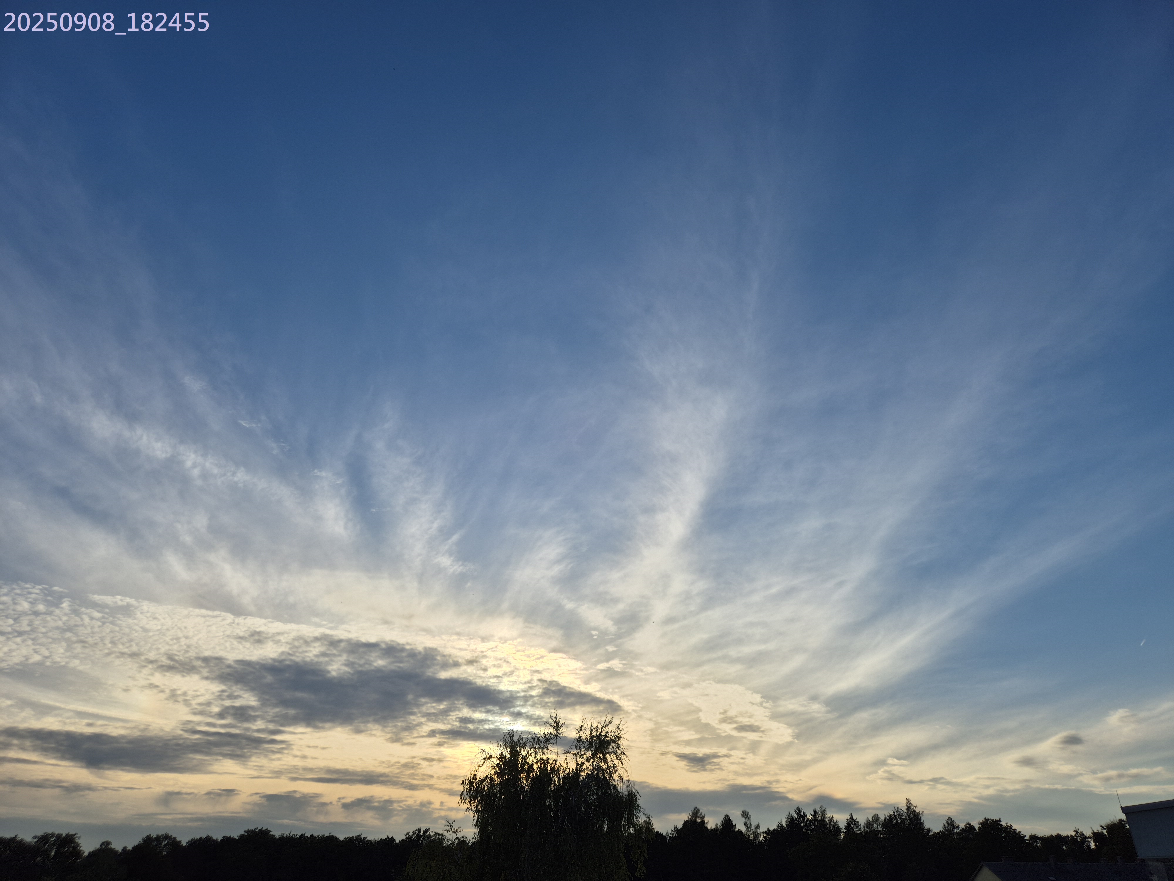 B2025_9_19