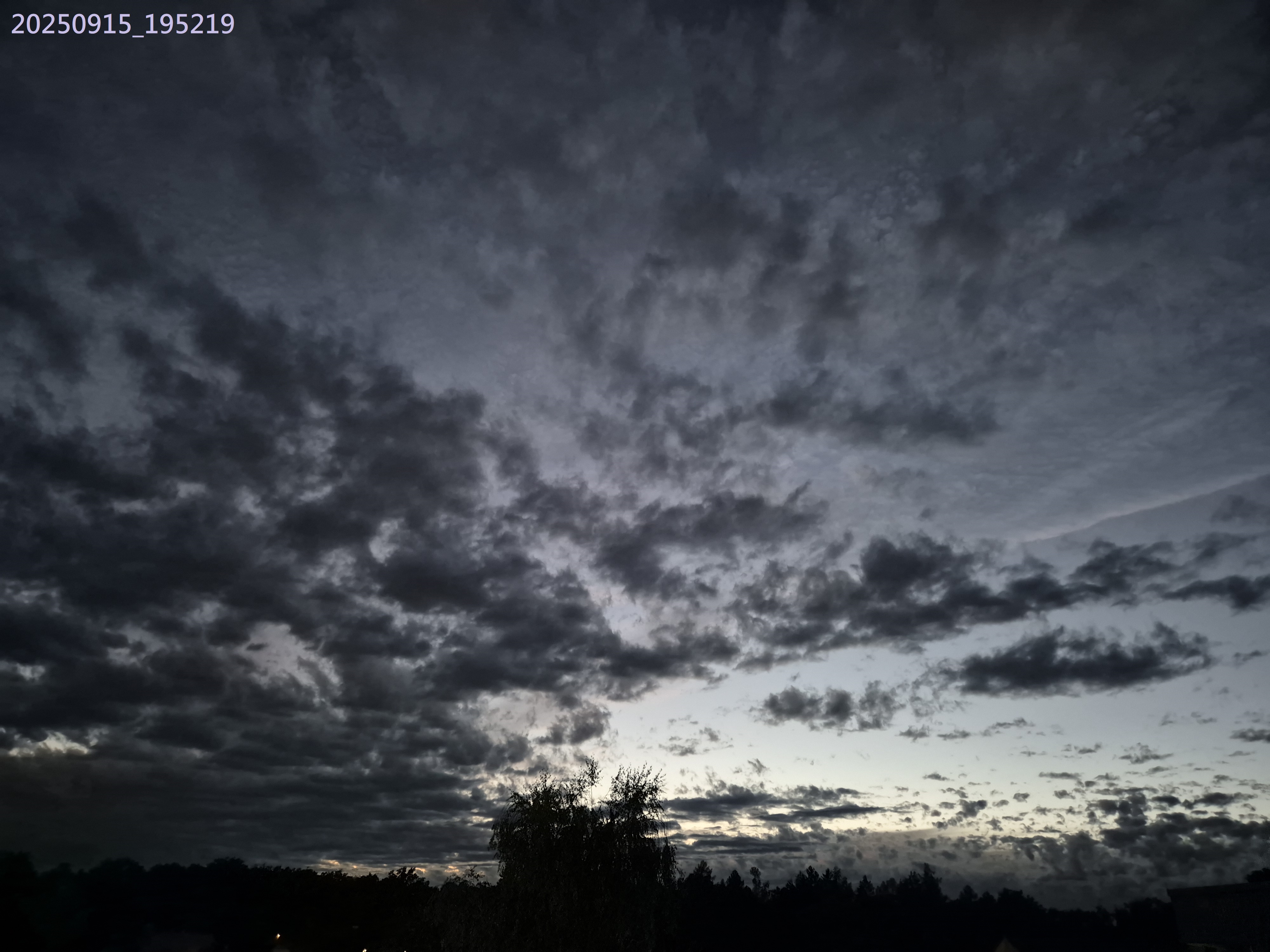 B2025_9_31