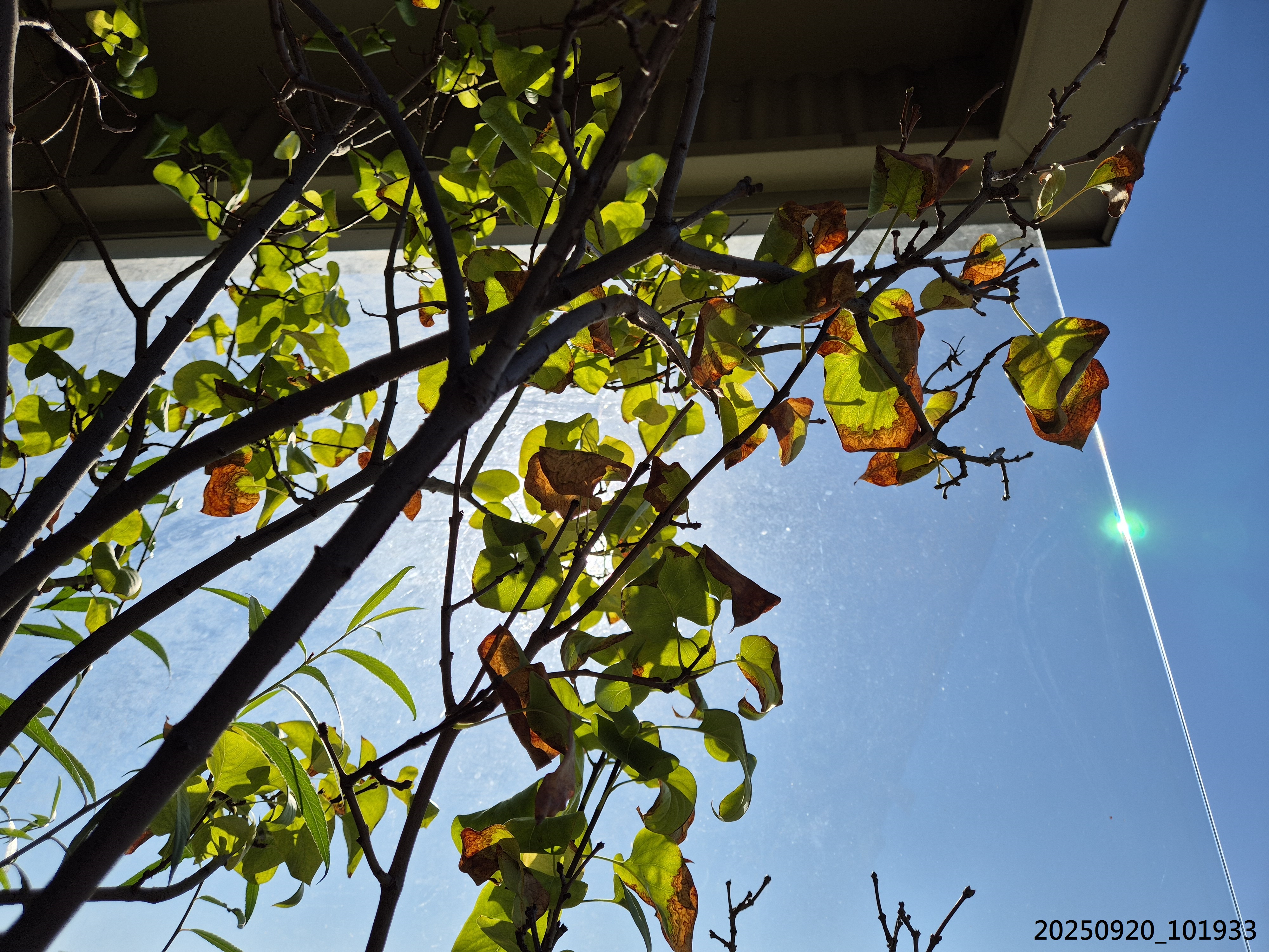 B2025_9_43