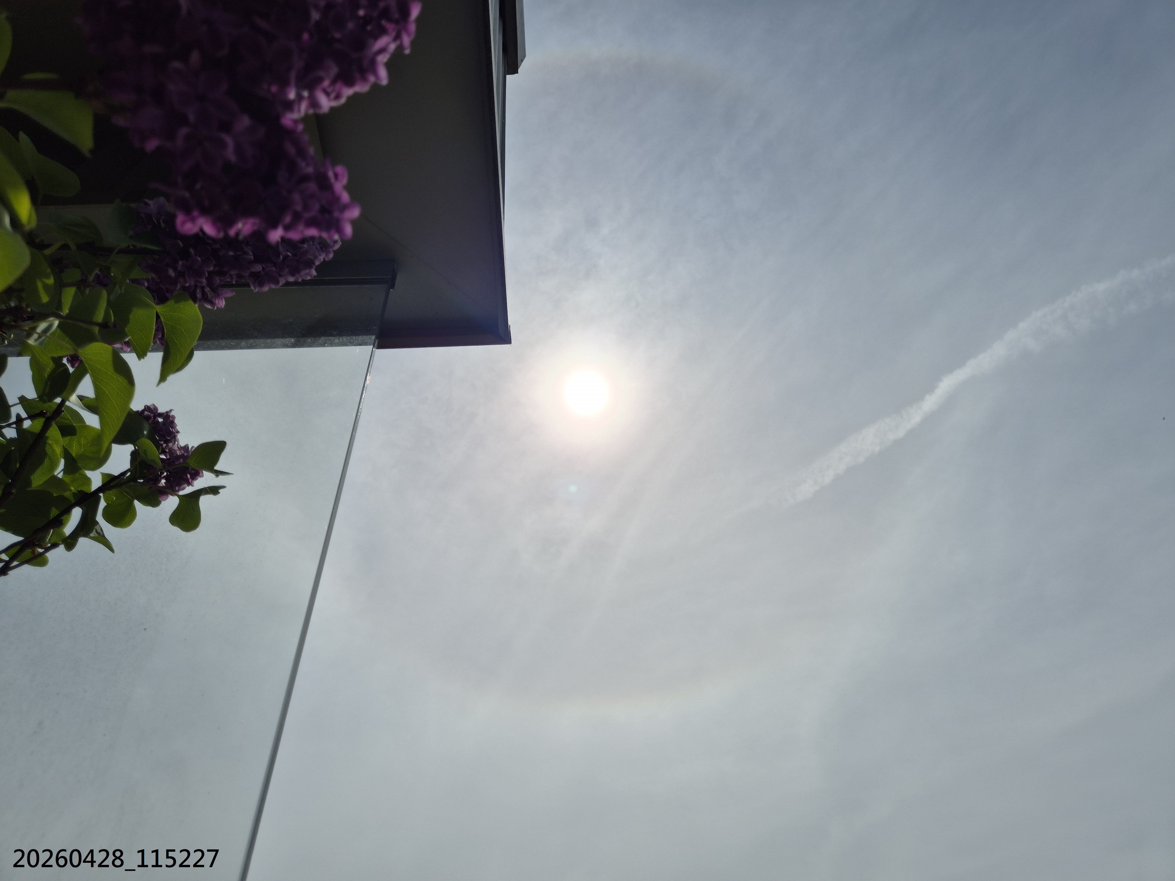 B2026_4_51