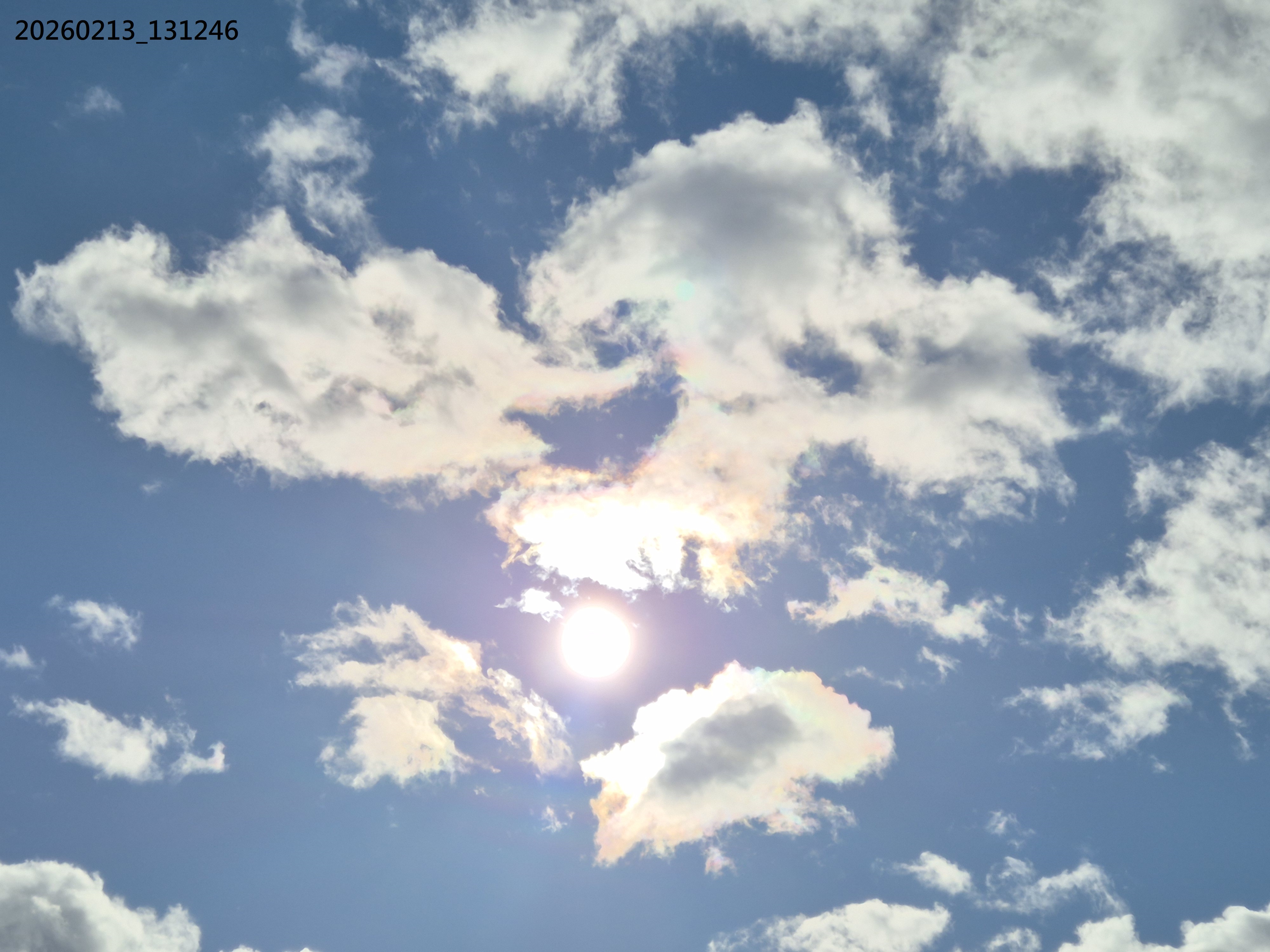 B2026_02_28