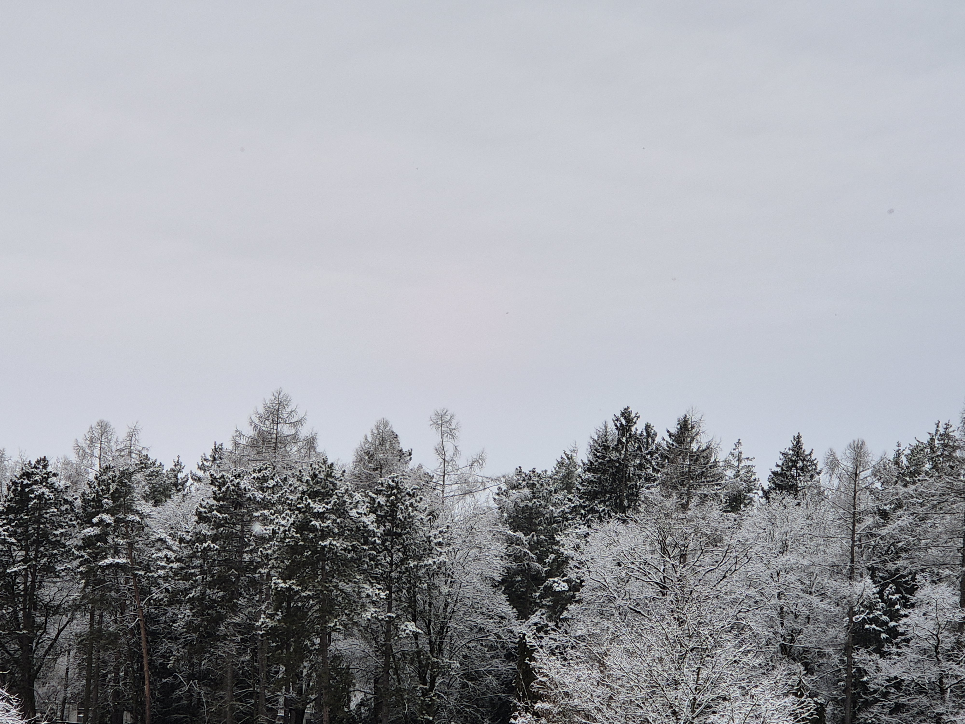 B2026_02_34