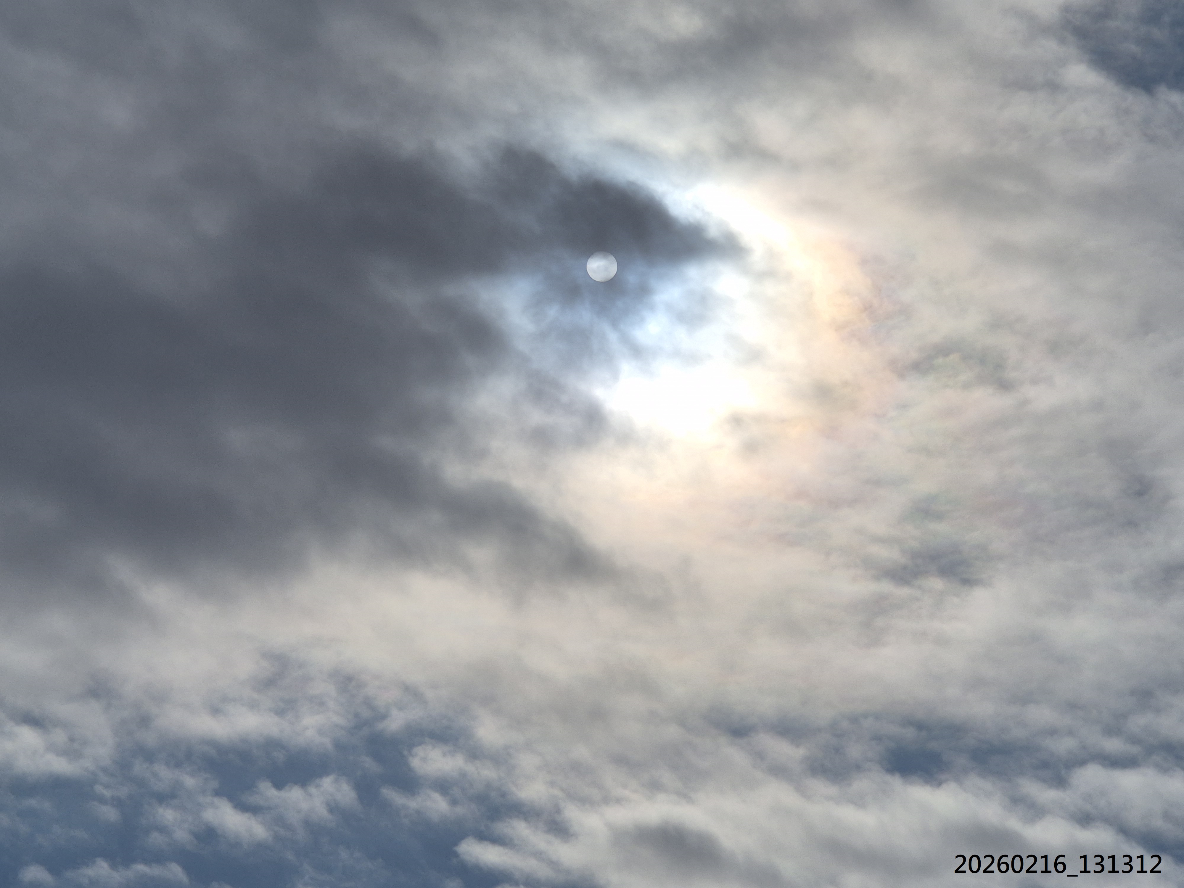 B2026_02_42