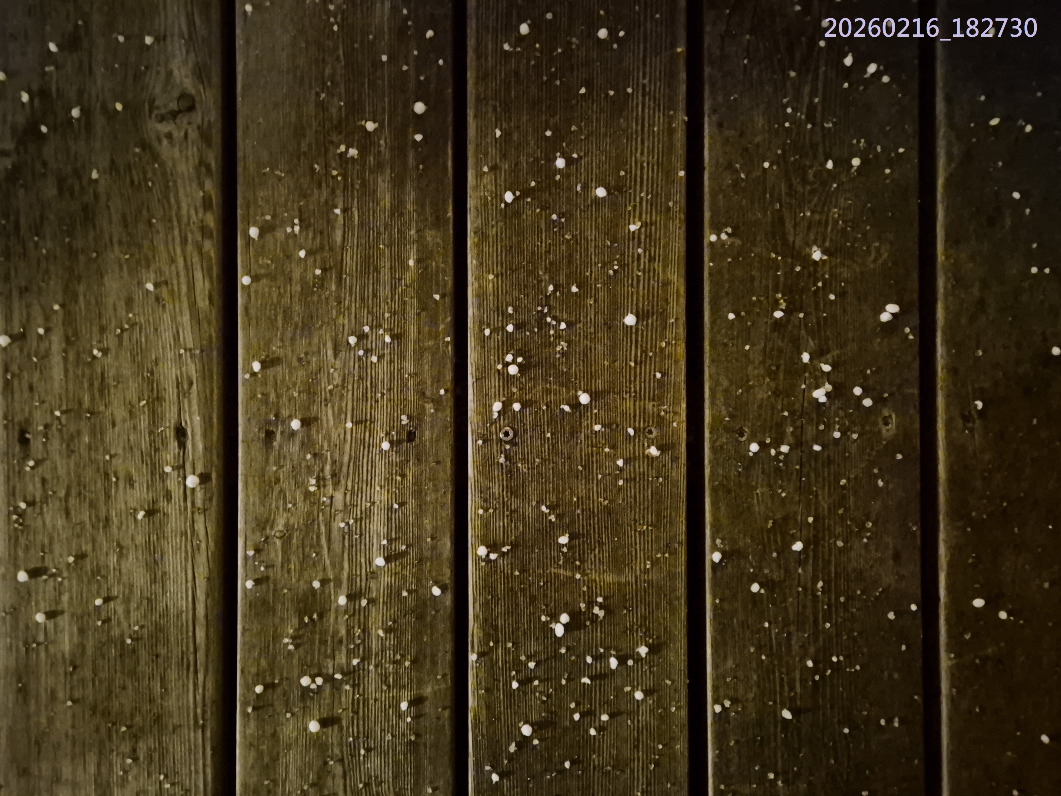 B2026_02_43