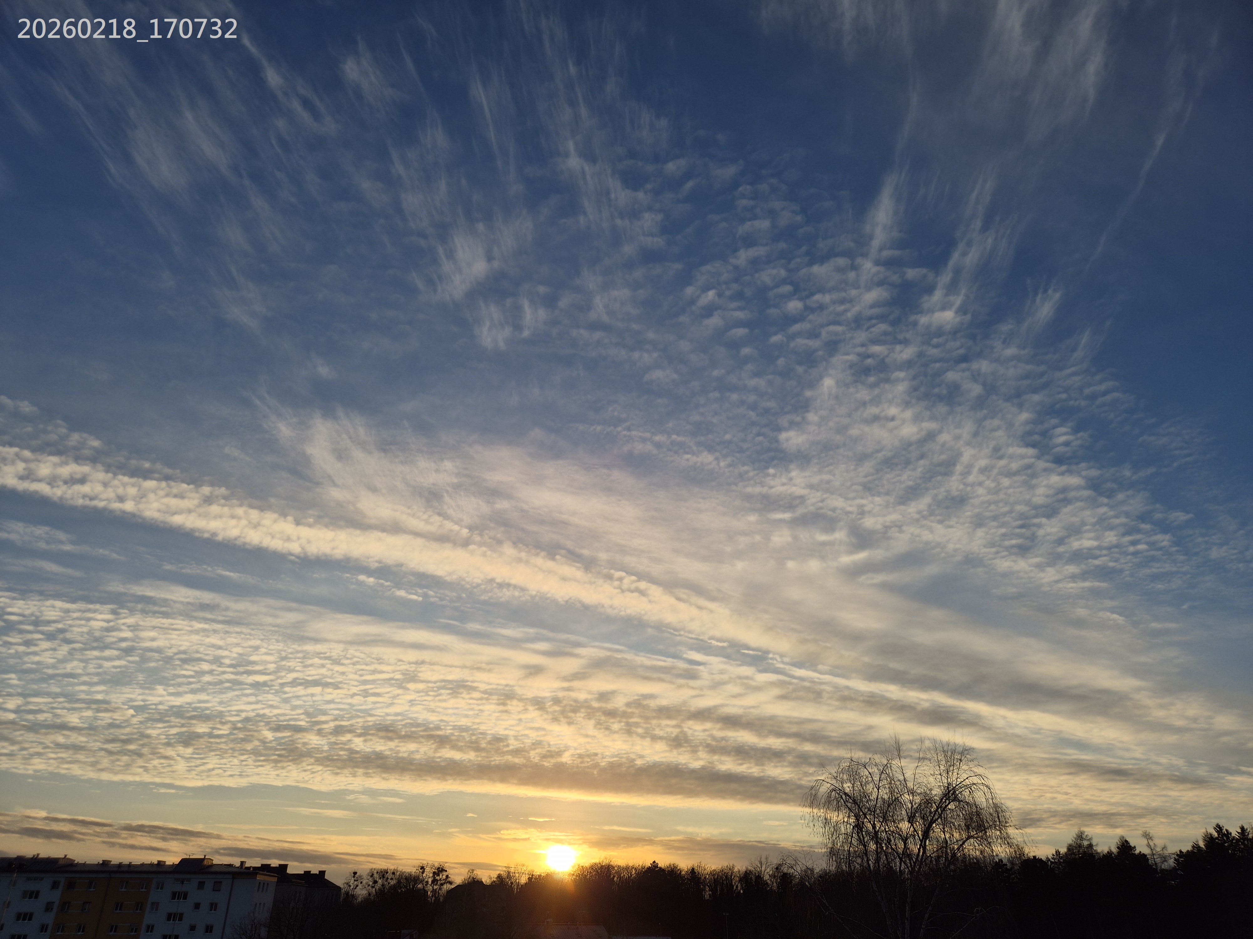 B2026_02_49