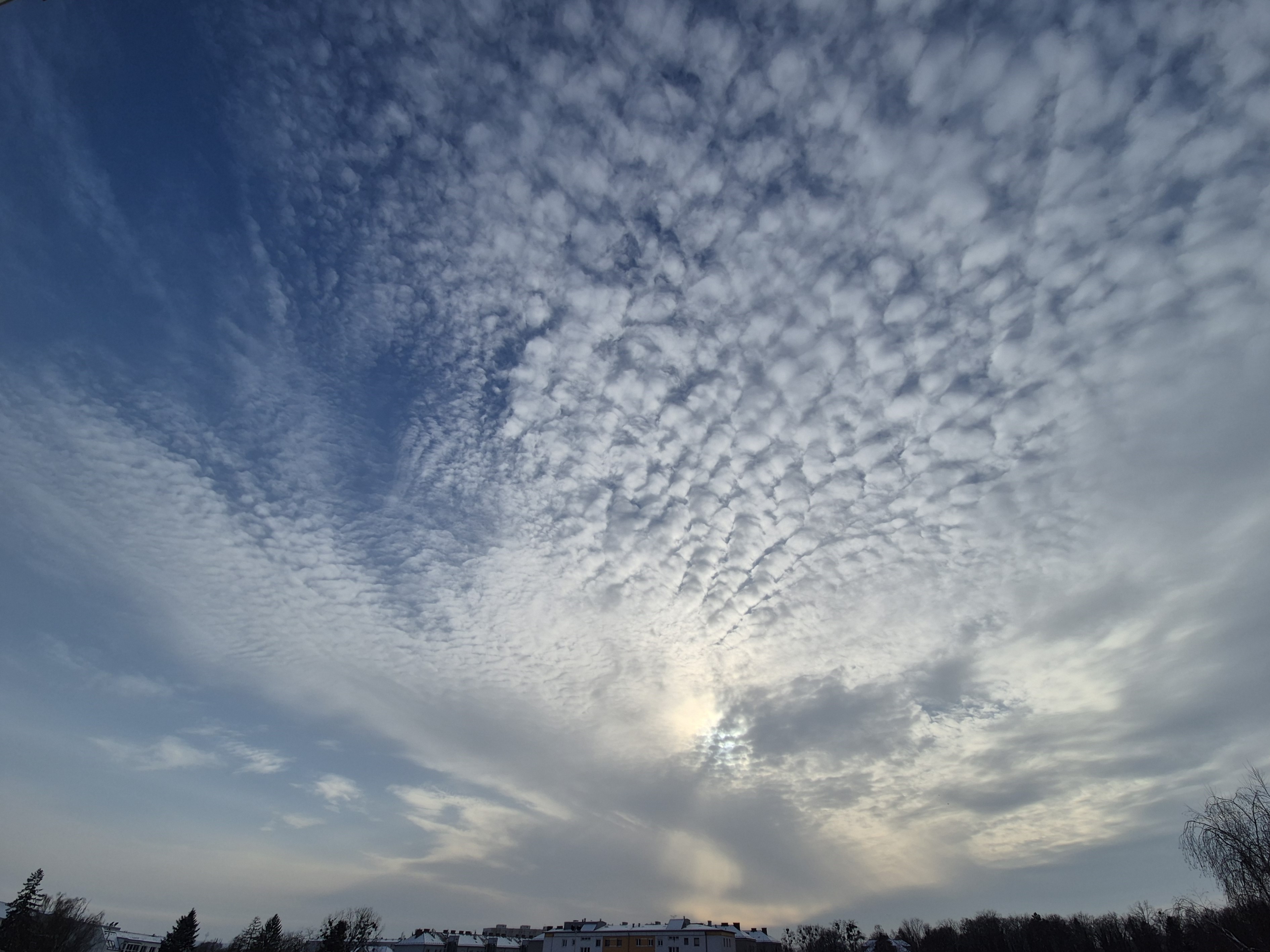 B2026_02_53