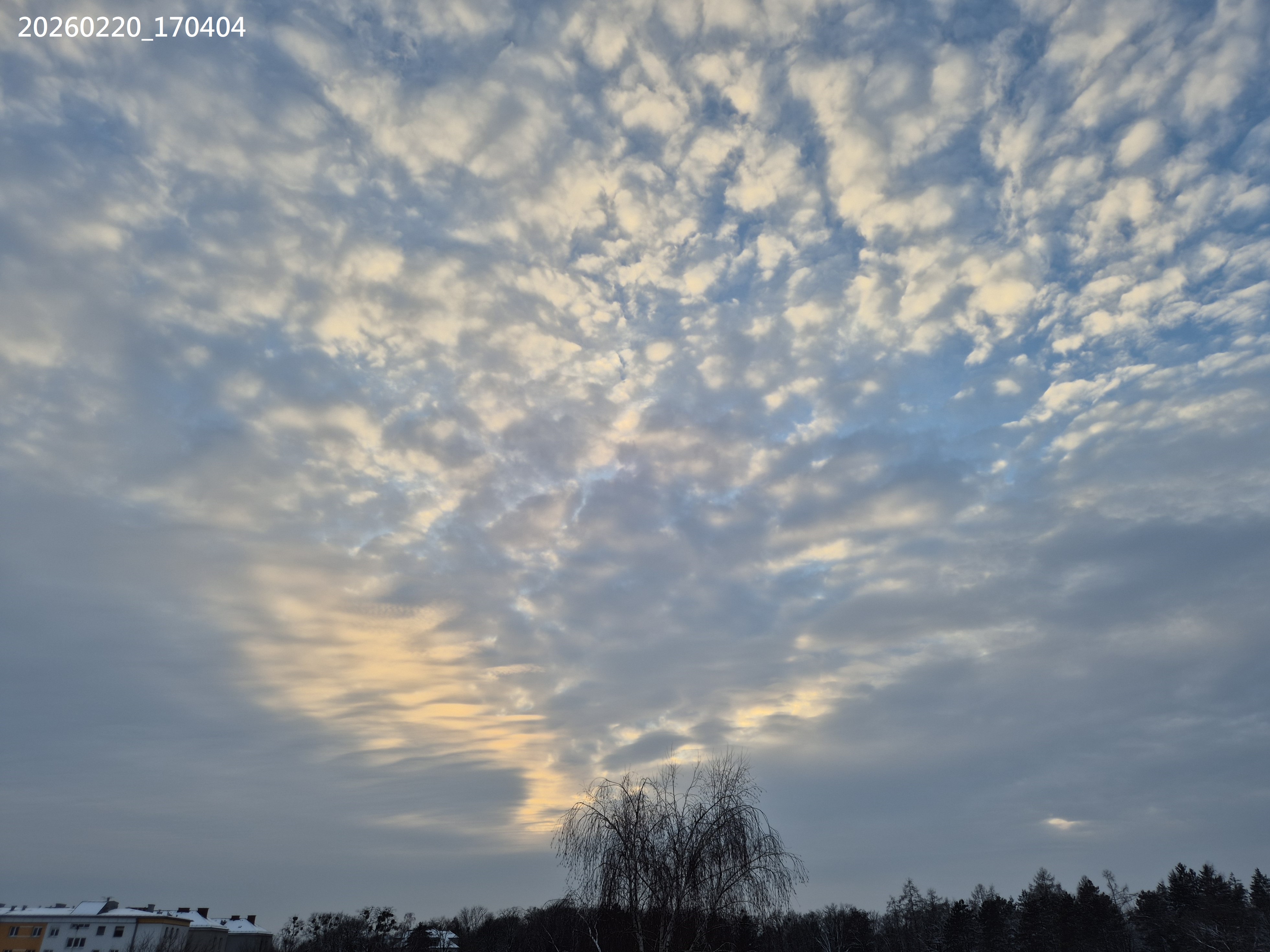 B2026_02_54