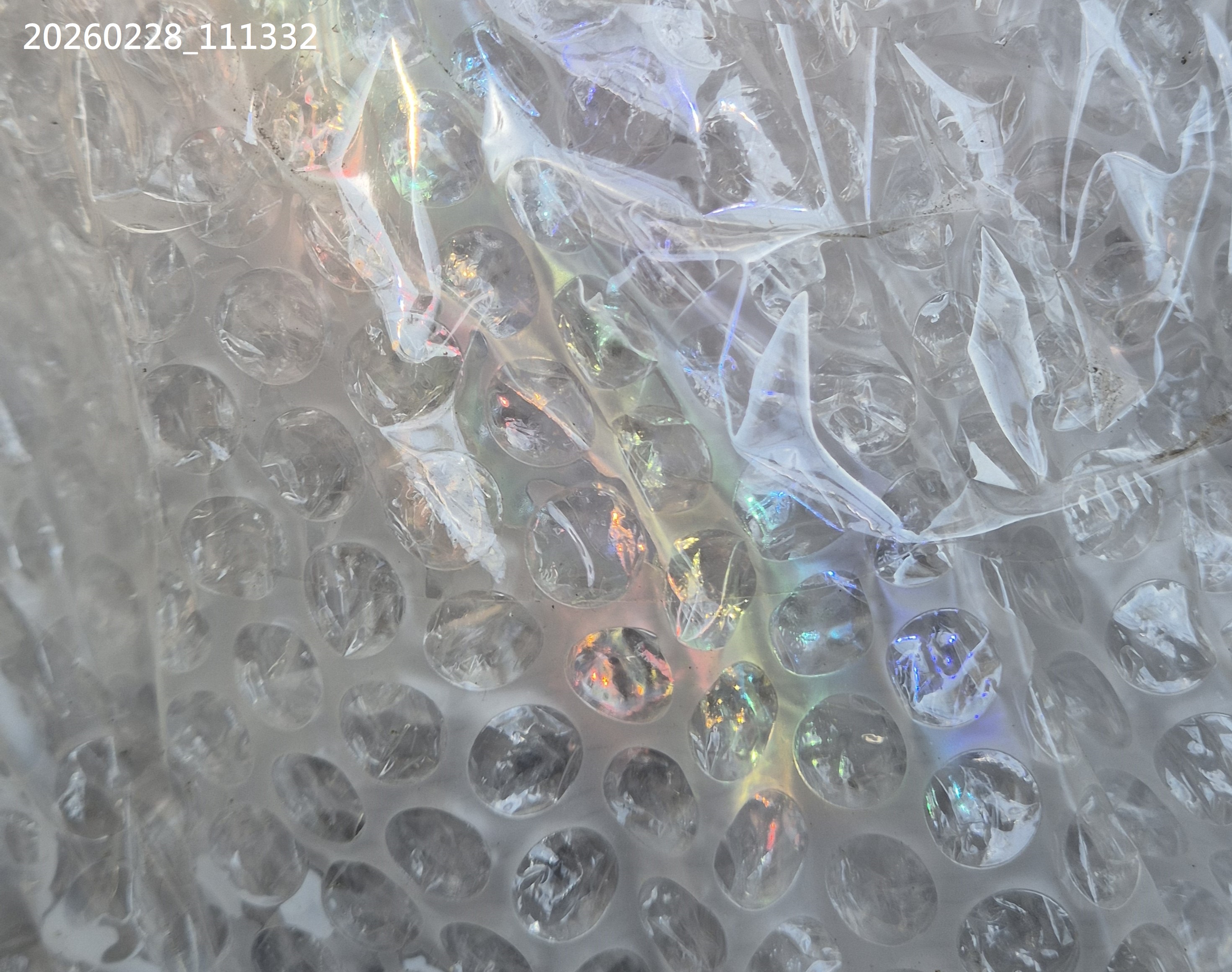 B2026_02_70