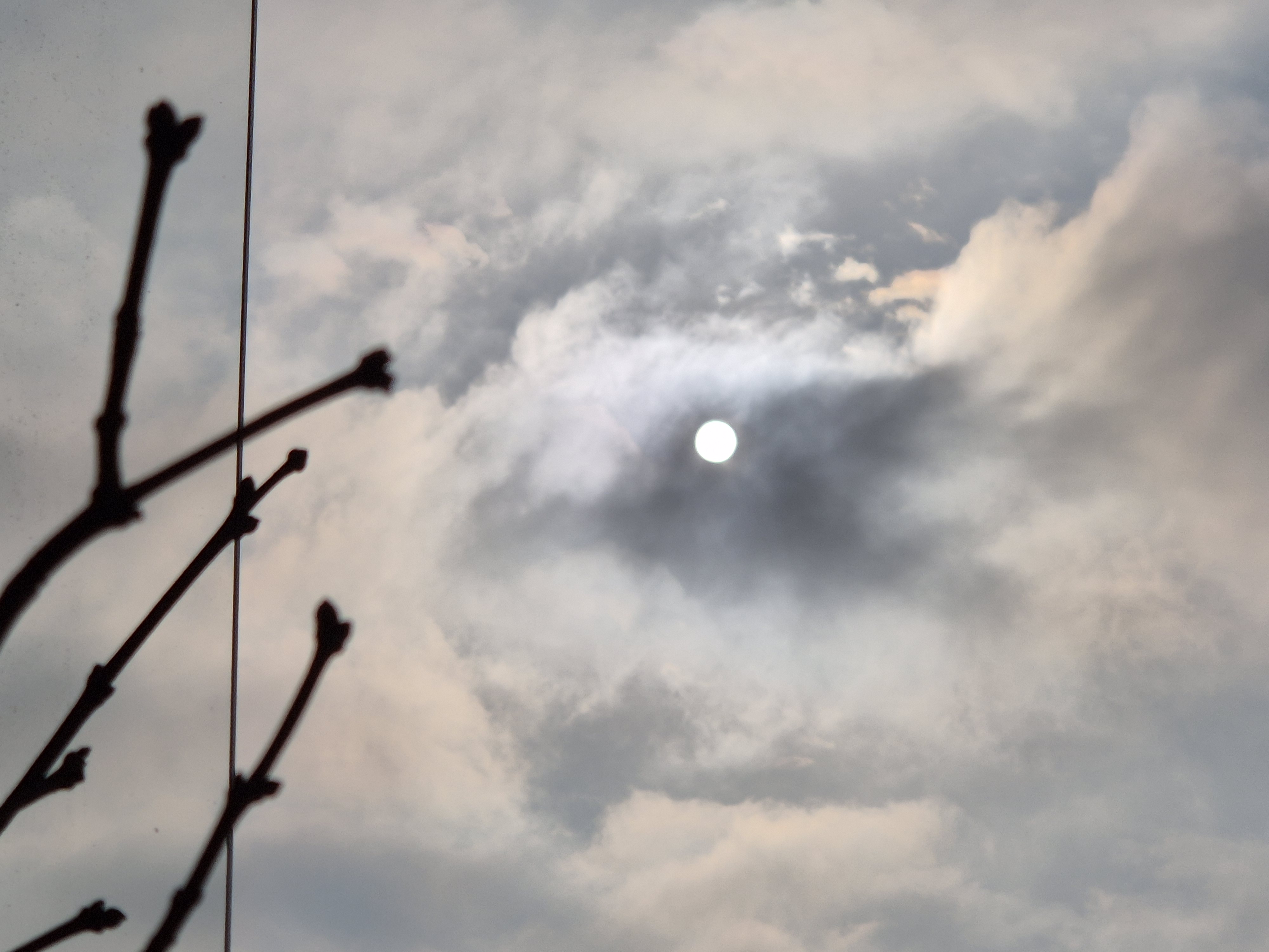 B2026_1_24